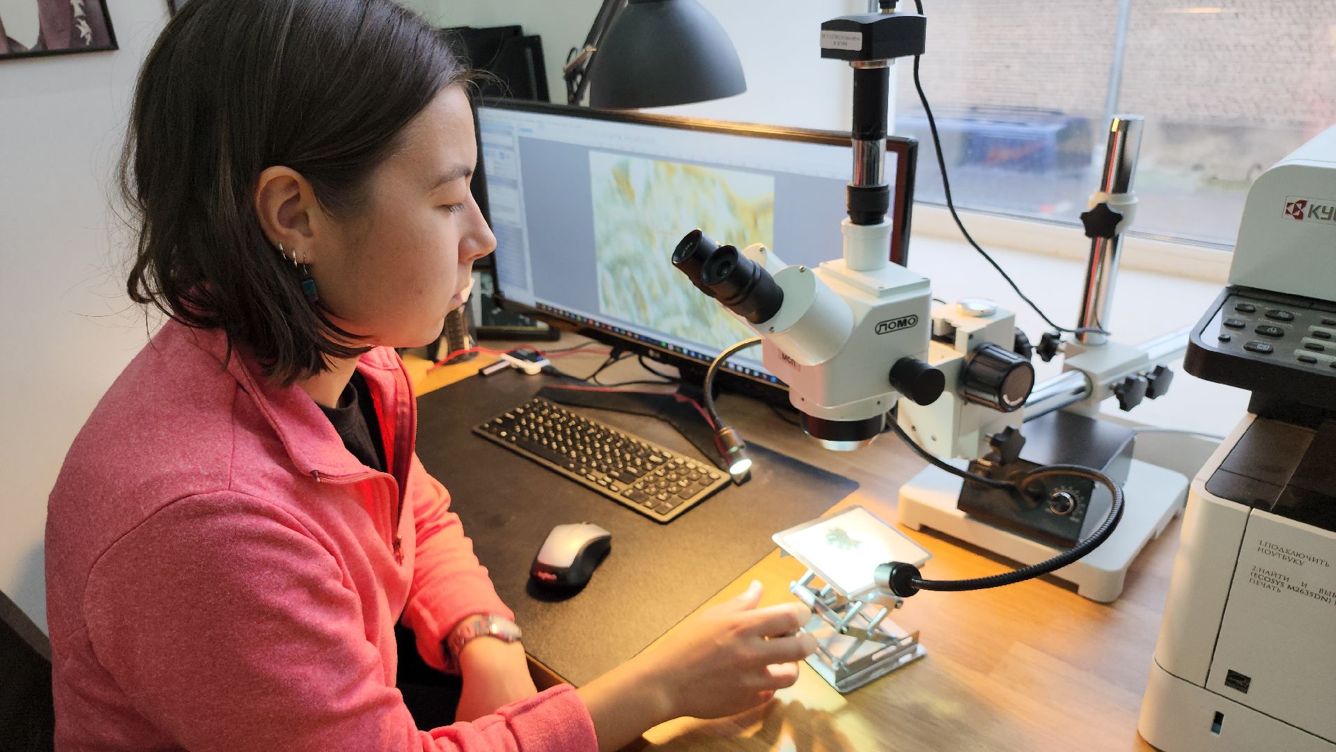 серпухов, подмосковье, средневековье, археология, исследования,