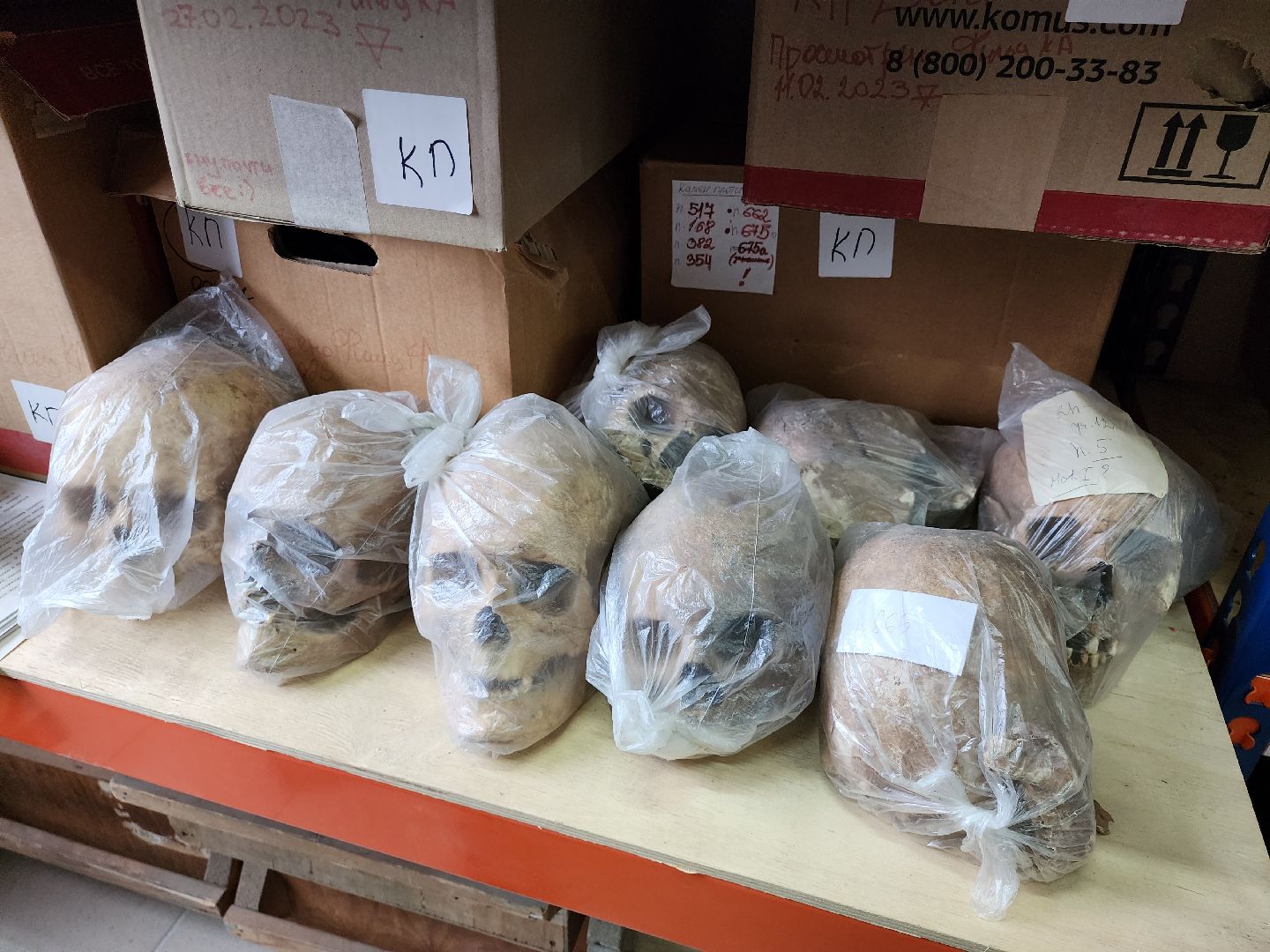 серпухов, подмосковье, средневековье, археология, исследования,