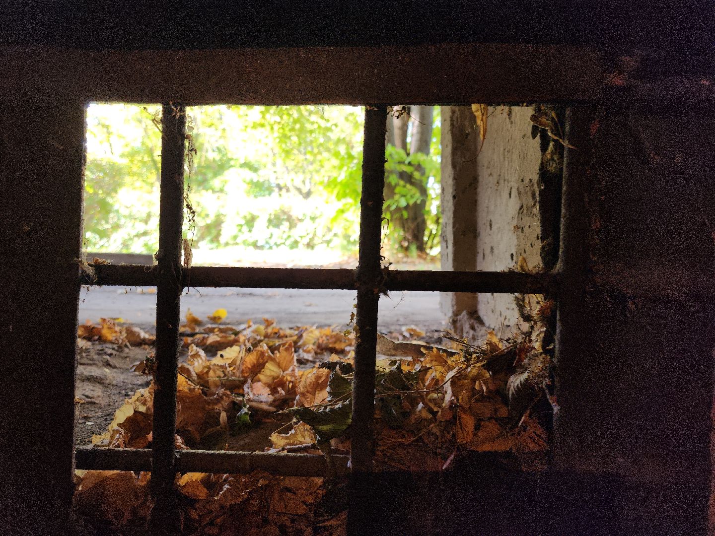 кашира, жкх, ремонт подъездов, окна ПВХ, почтовые ящики, персиковый,