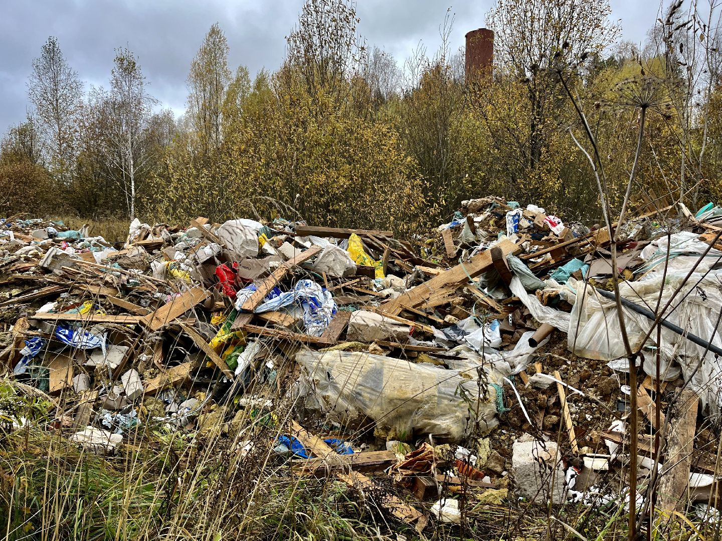 Апрелевка, Наро-Фоминский городской округ, Незаконная свалка, берегите лес, экология, чистое Подмосковье,