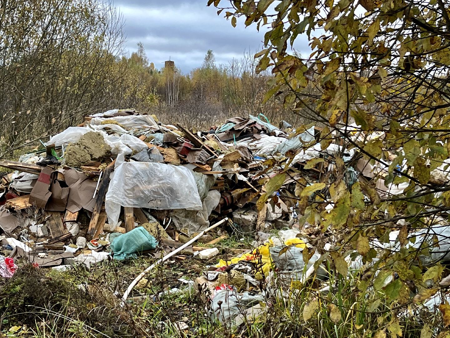 Апрелевка, Наро-Фоминский городской округ, Незаконная свалка, берегите лес, экология, чистое Подмосковье,