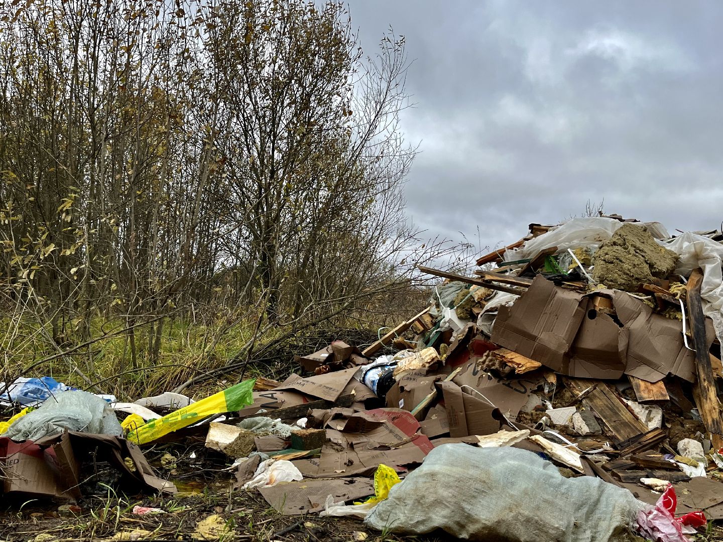 Апрелевка, Наро-Фоминский городской округ, Незаконная свалка, берегите лес, экология, чистое Подмосковье,