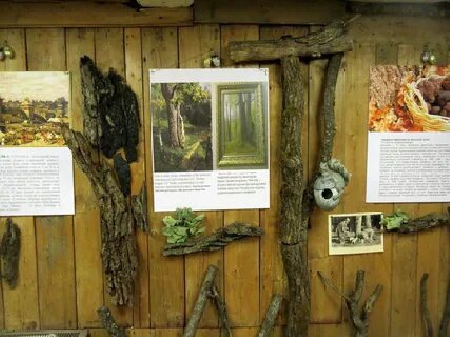 Звенигород, Дары дуба, Секреты семейного счастья, Туризм, культура подмосковья,