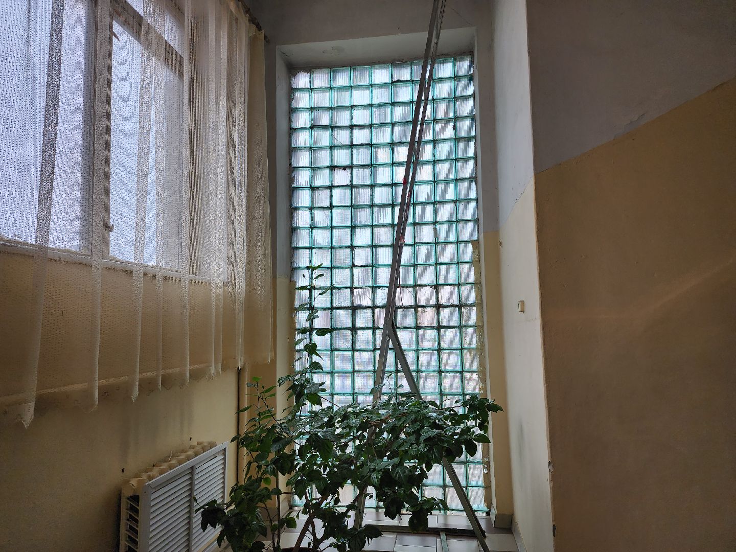 Серпухов, подмосковье, капитальный ремонт, образование, дети,