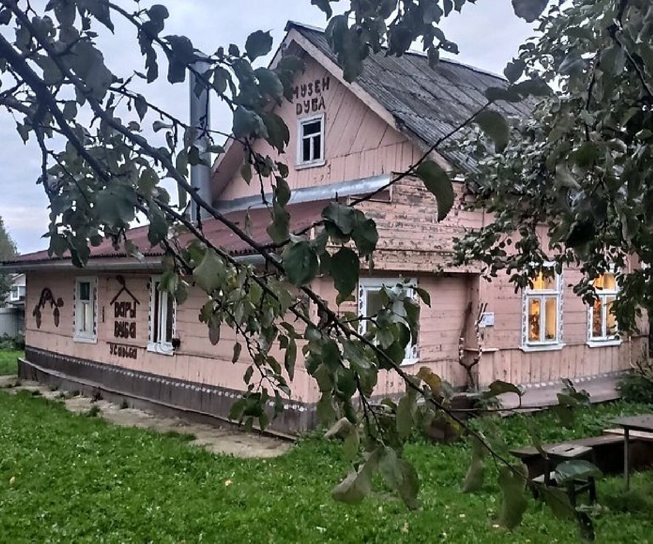 Музей дуба, Туризм, Звенигород, Путешествуй по Подмосковью, кофе из желудей