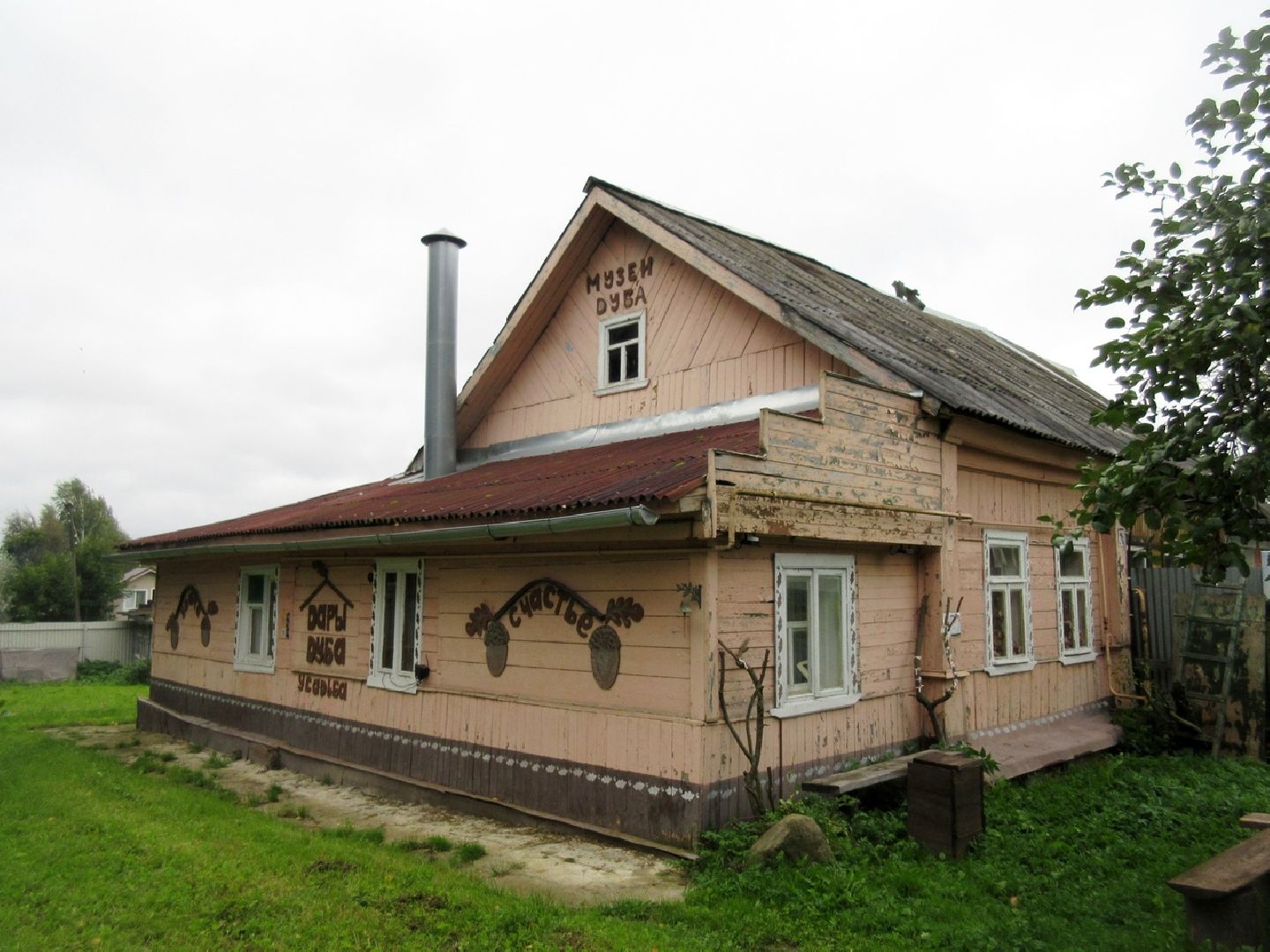 Музей дуба, Туризм, Звенигород, Путешествуй по Подмосковью, кофе из желудей