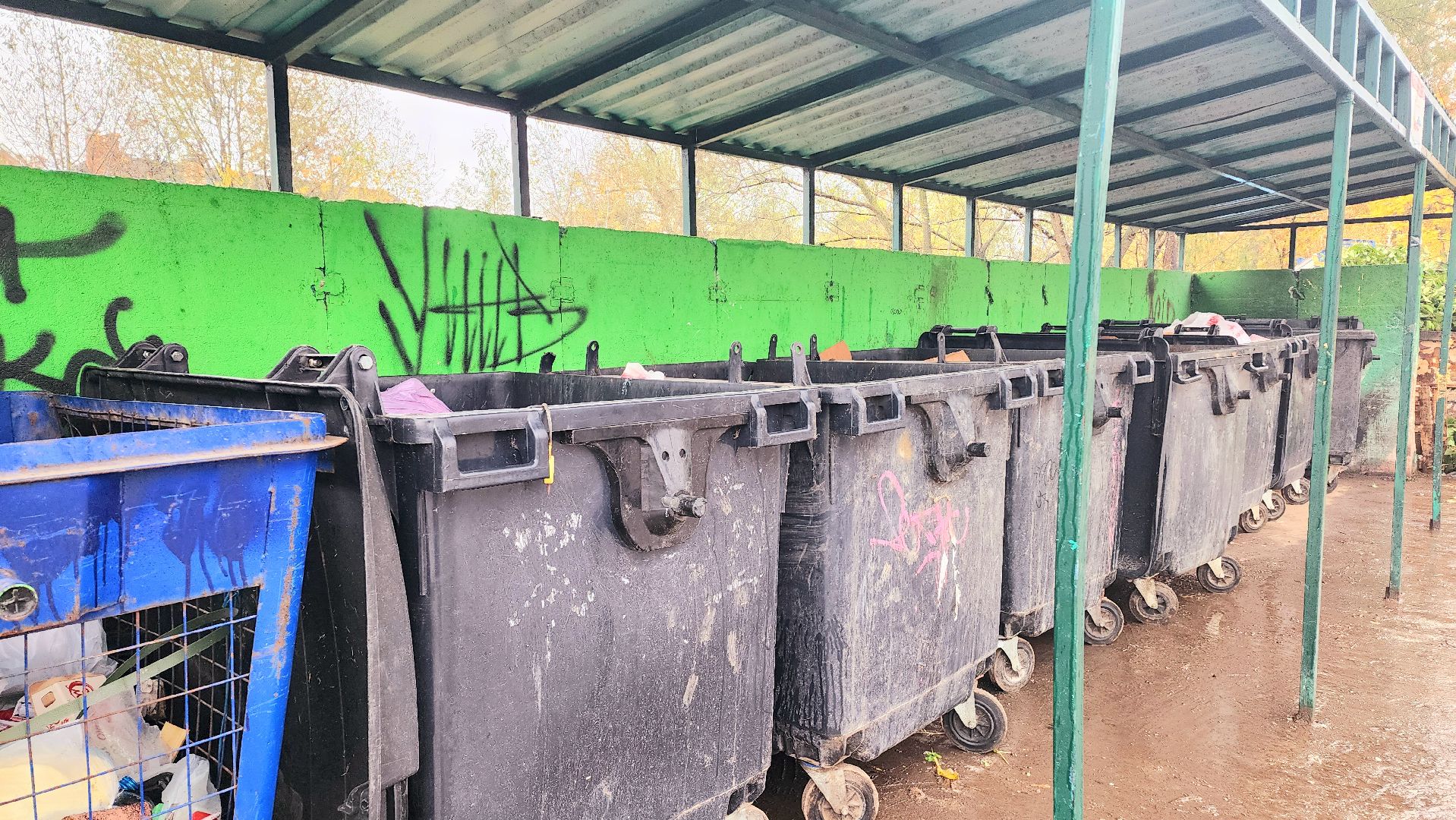 домодедово, подмосковье, контейнерная площадка, вывоз мусора, инспектор ЖКХ, вывоз отходов, коммунальные отходы, каширский оператор,