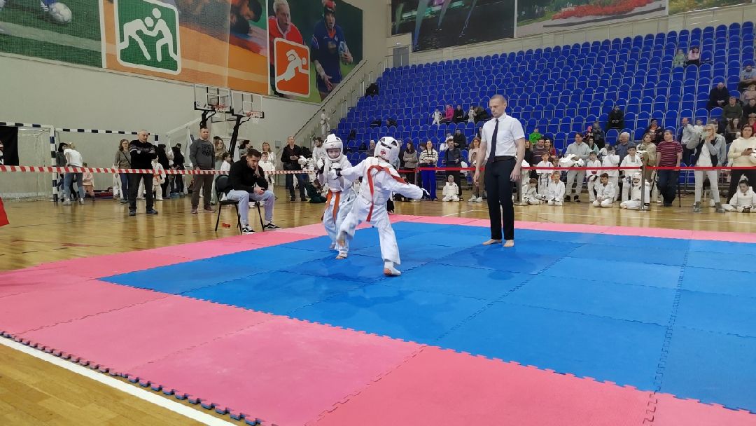 Пушкино, Пушкинский округ, Пушкинский, Весна в Подмосковье, спорт, киокусинкай,