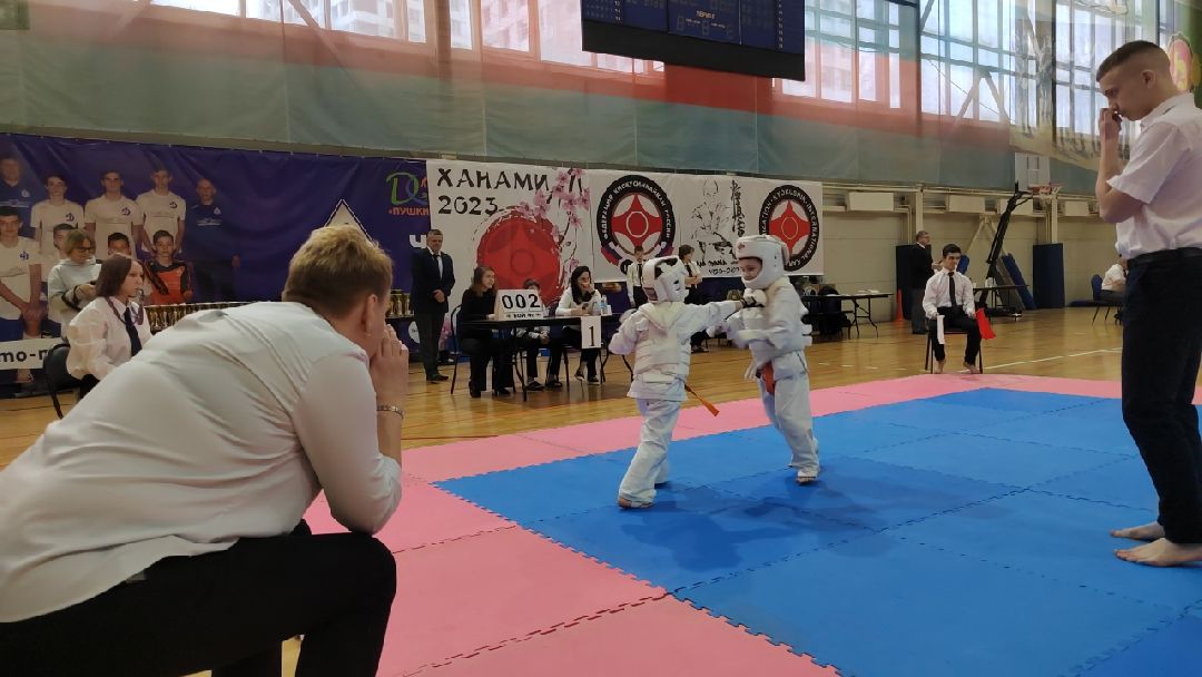 Пушкино, Пушкинский округ, Пушкинский, Весна в Подмосковье, спорт, киокусинкай,