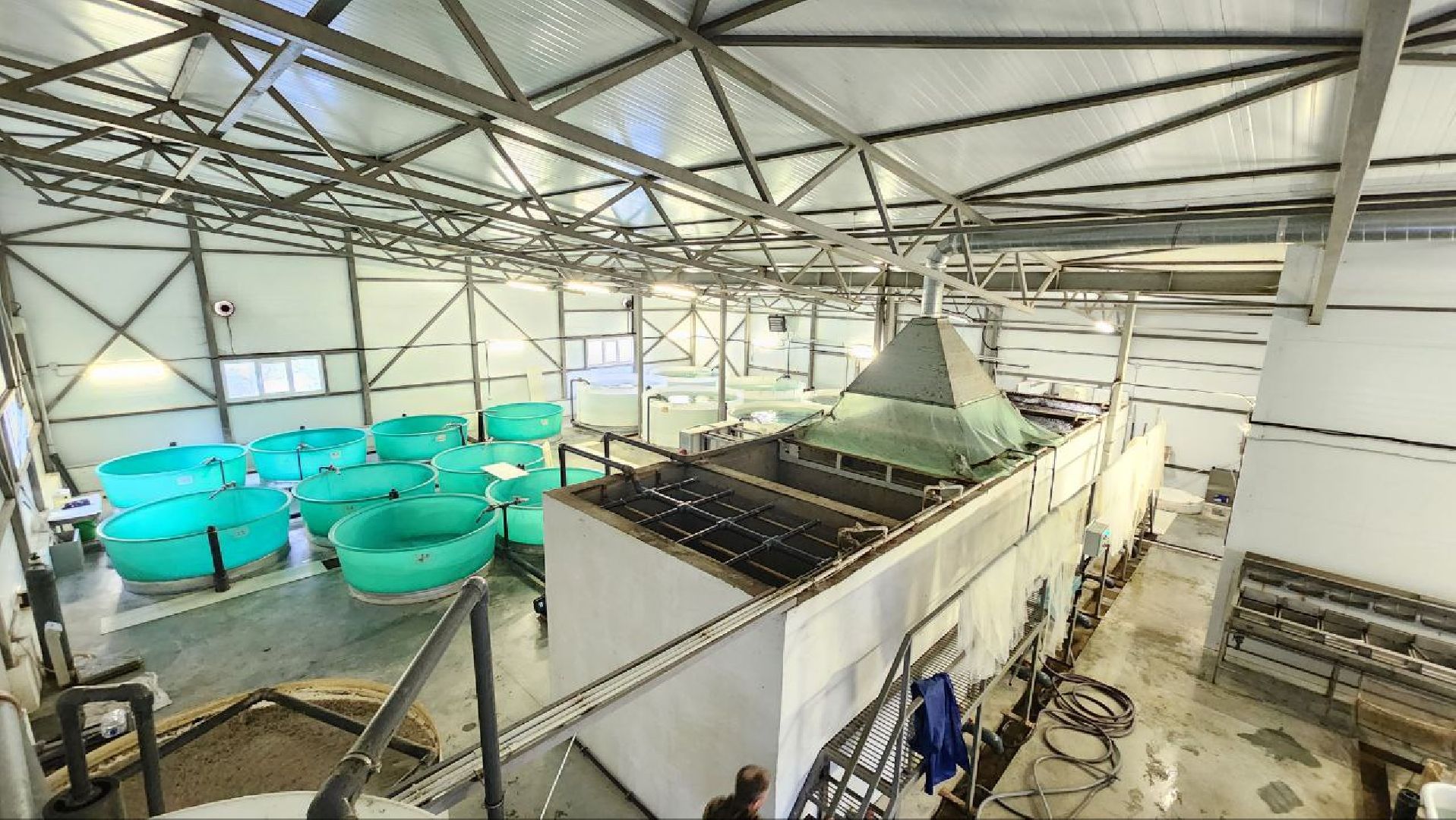 Дмитров, ВНИРО, ВНИИПРХ, Росрыболовство,