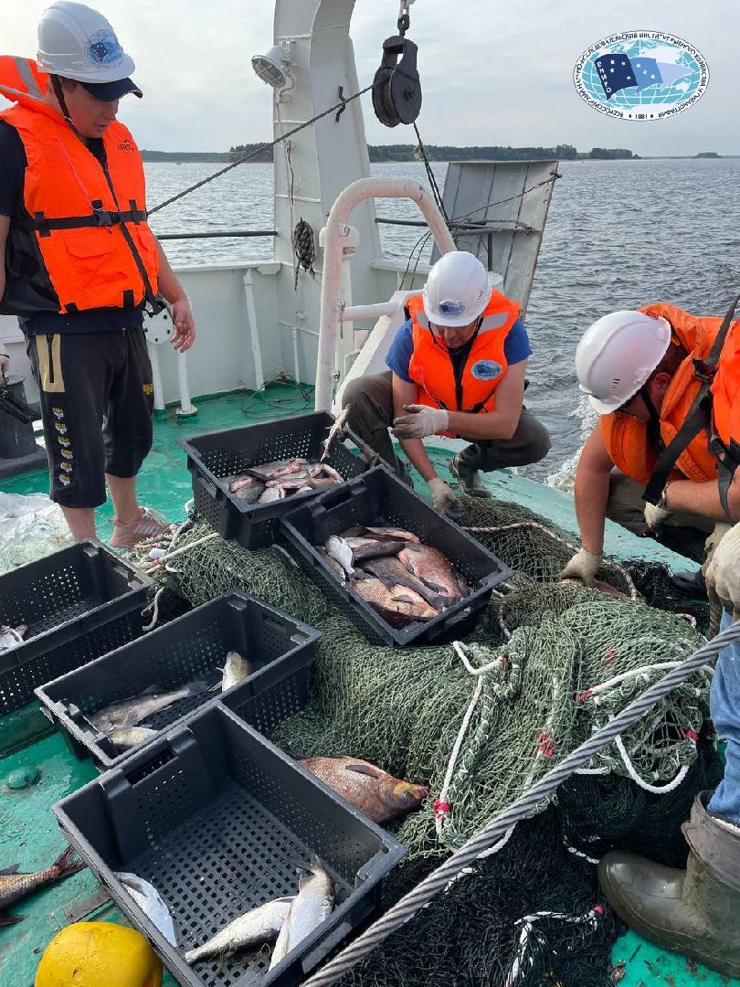 Дмитров, ВНИРО, ВНИИПРХ, Росрыболовство,