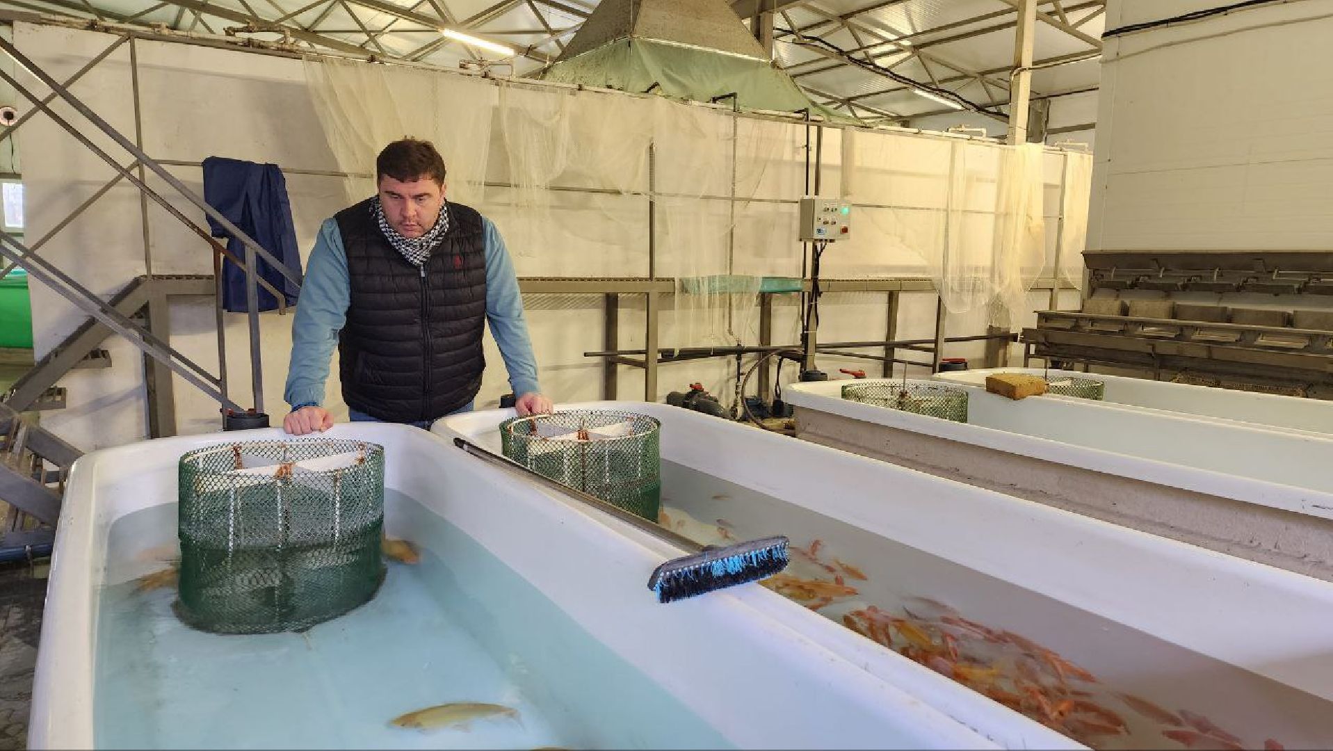 Дмитров, ВНИРО, ВНИИПРХ, Росрыболовство,