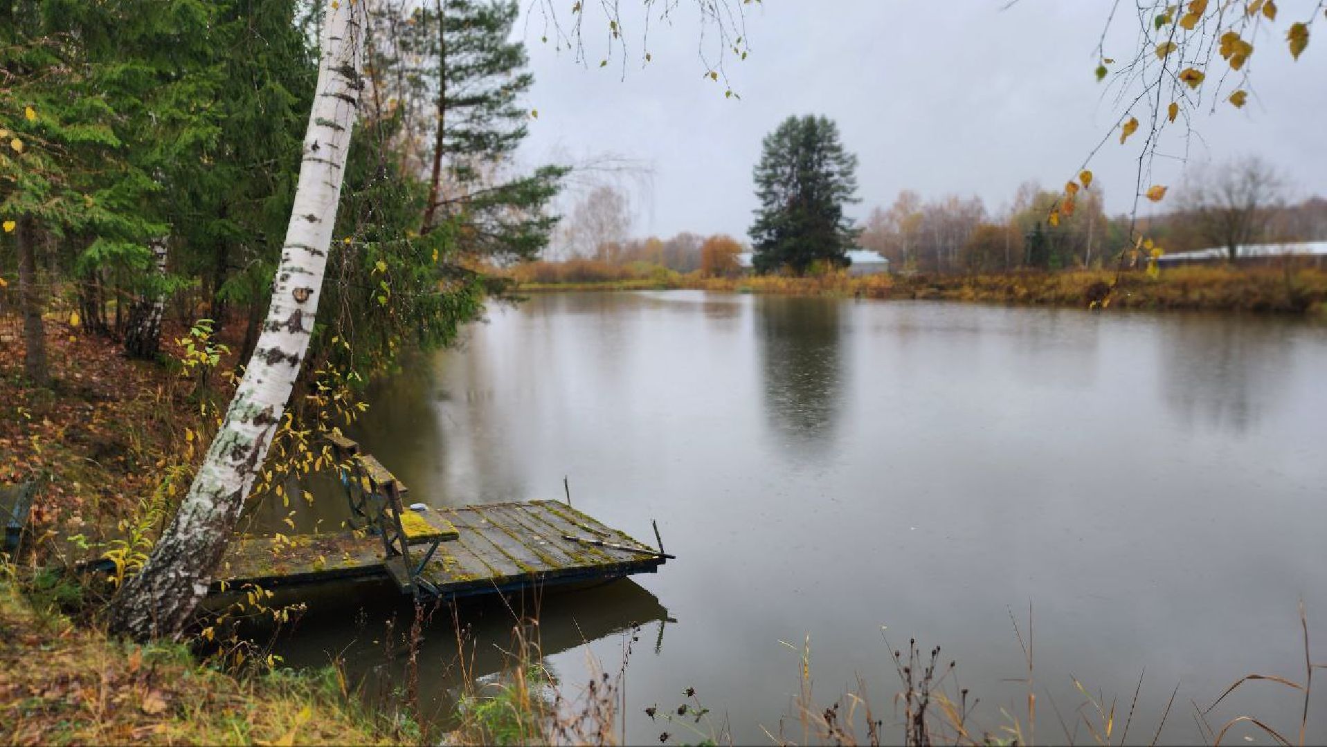 Дмитров, ВНИРО, ВНИИПРХ, Росрыболовство,