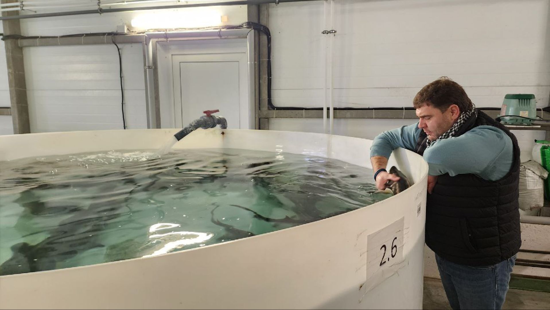 Дмитров, ВНИРО, ВНИИПРХ, Росрыболовство,