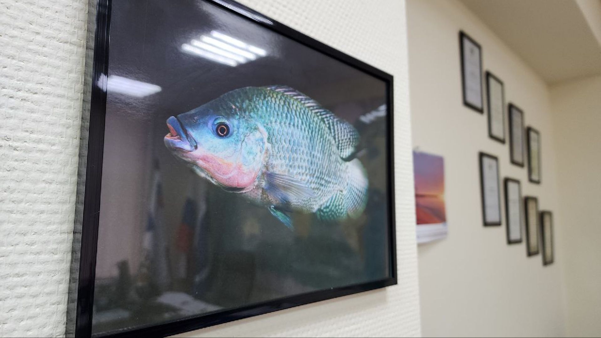 Дмитров, ВНИРО, ВНИИПРХ, Росрыболовство,