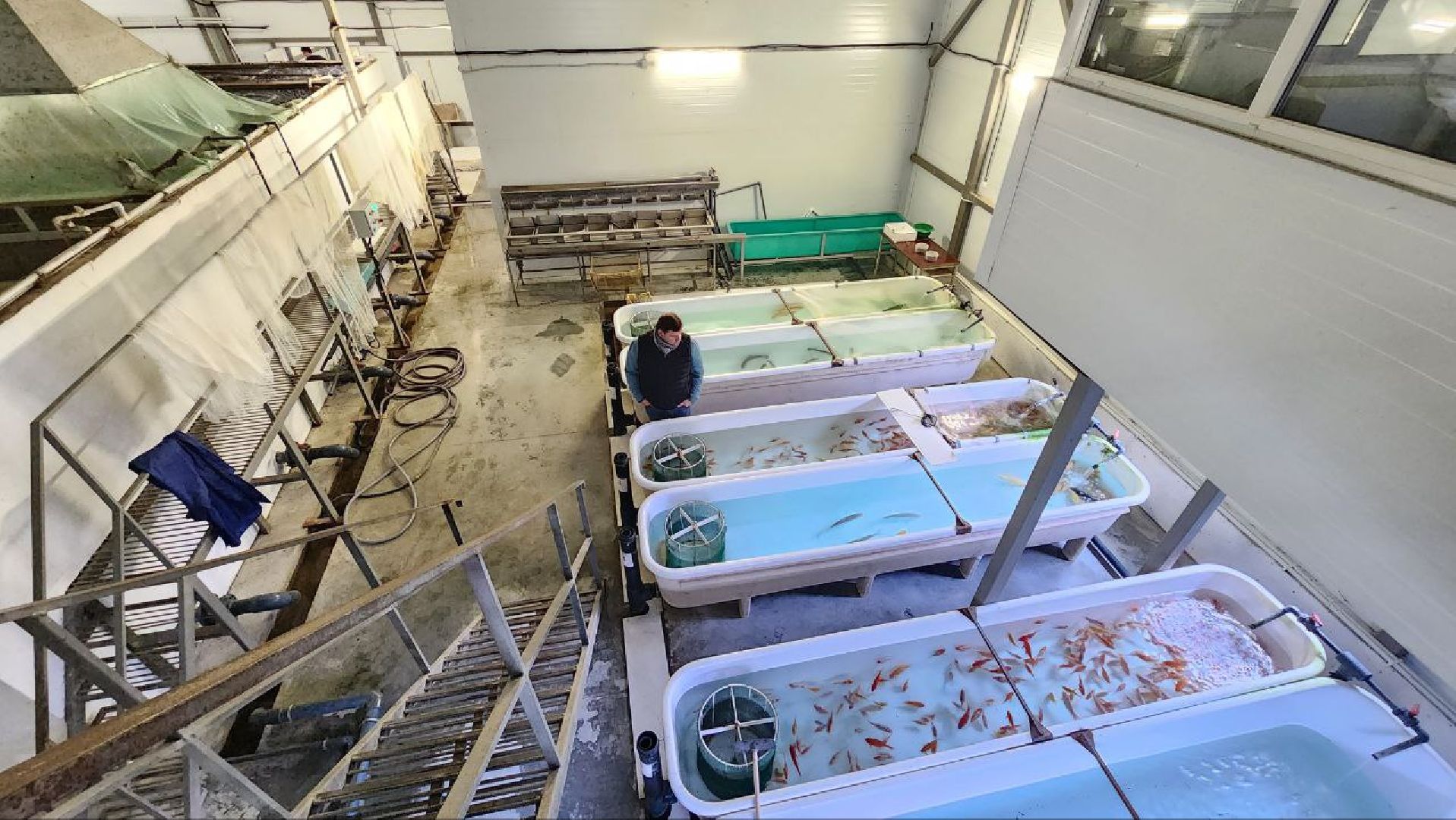 Дмитров, ВНИРО, ВНИИПРХ, Росрыболовство,