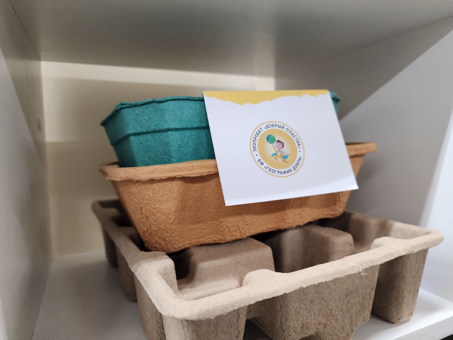 экология, щёлково, образование,