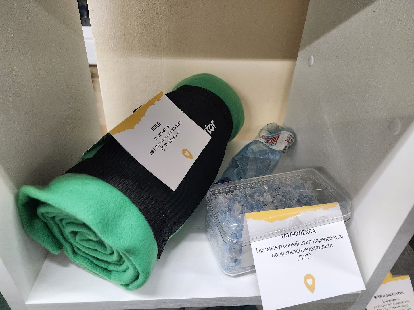 экология, щёлково, образование,