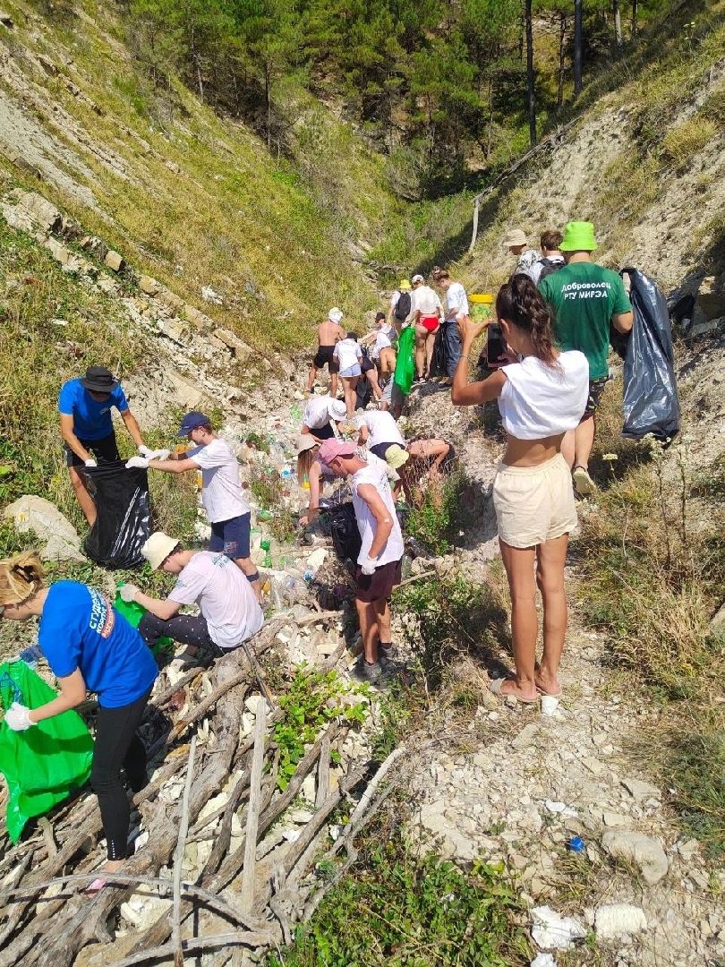 волонтерство, орехово-зуево,
