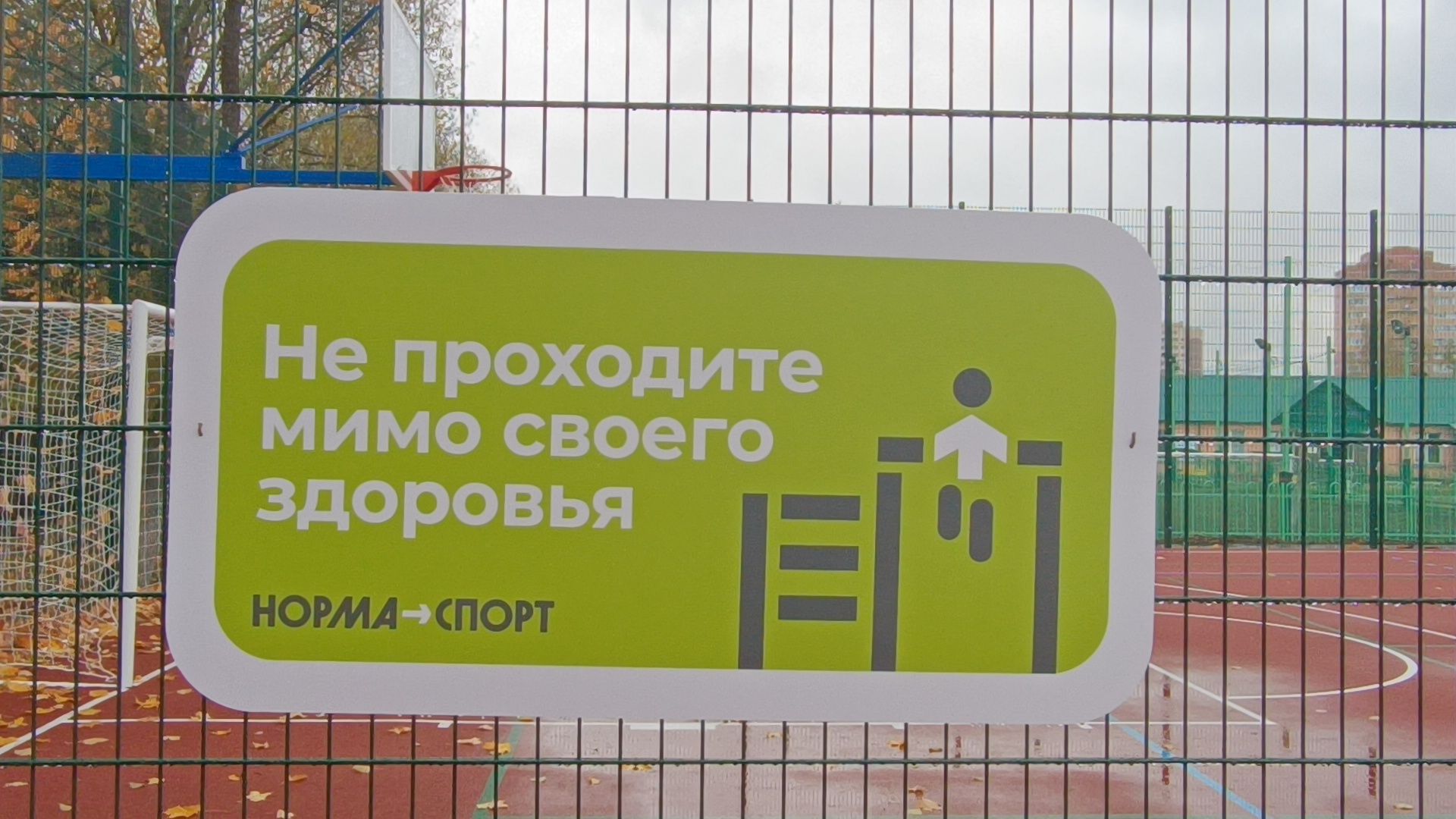 лобня, стадион, реконструкция,