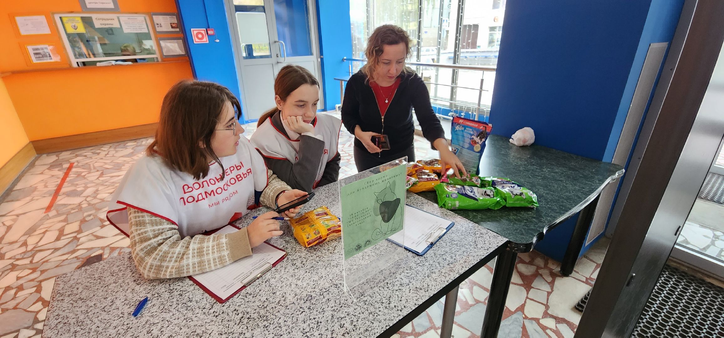 Коломна, волонтерство, бездомные животные, благотворительая акция,