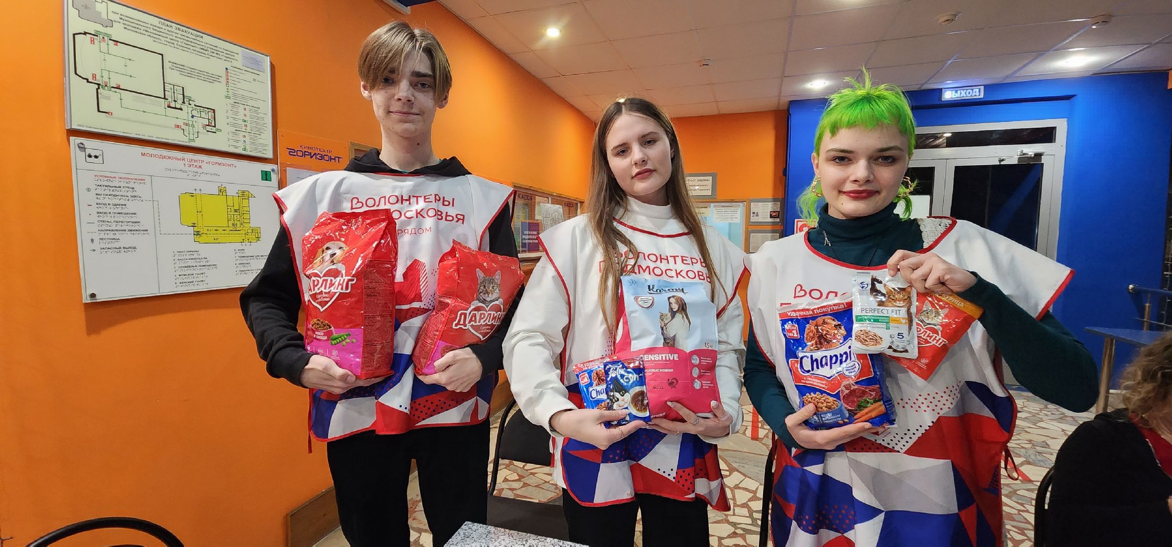 Коломна, волонтерство, бездомные животные, благотворительая акция,