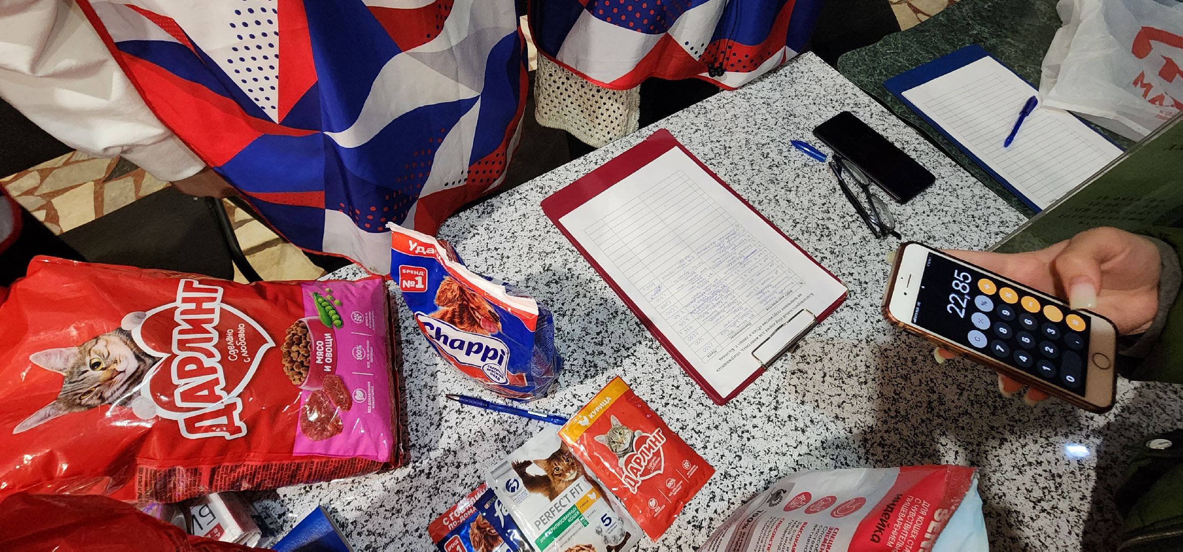 Коломна, волонтерство, бездомные животные, благотворительая акция,