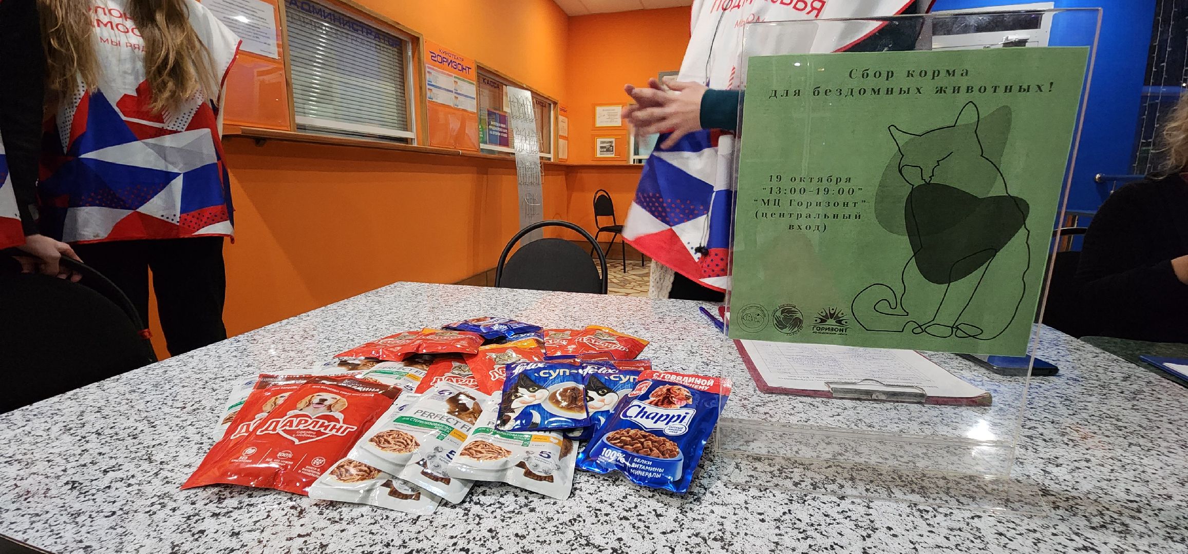 Коломна, волонтерство, бездомные животные, благотворительая акция,