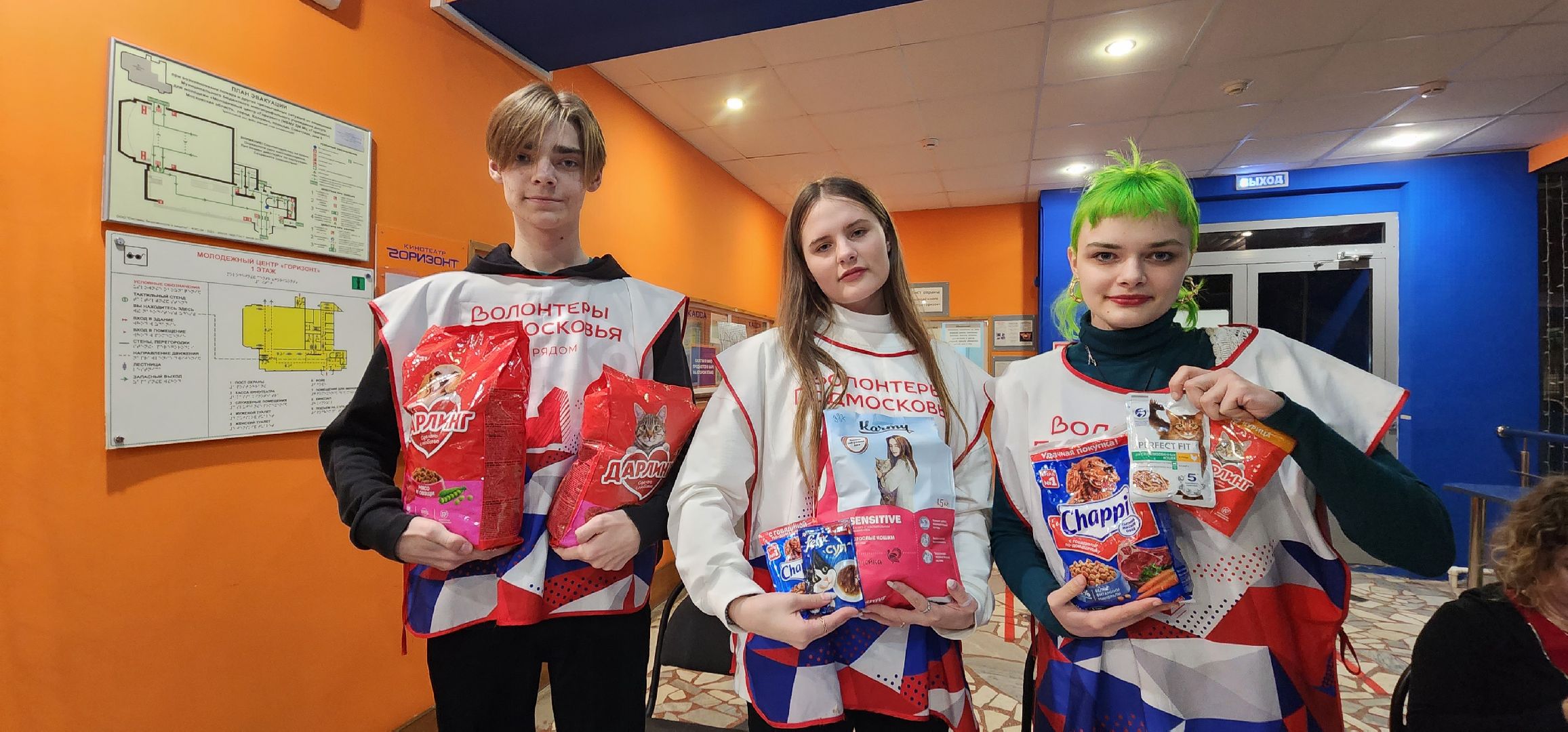 Коломна, волонтерство, бездомные животные, благотворительая акция,