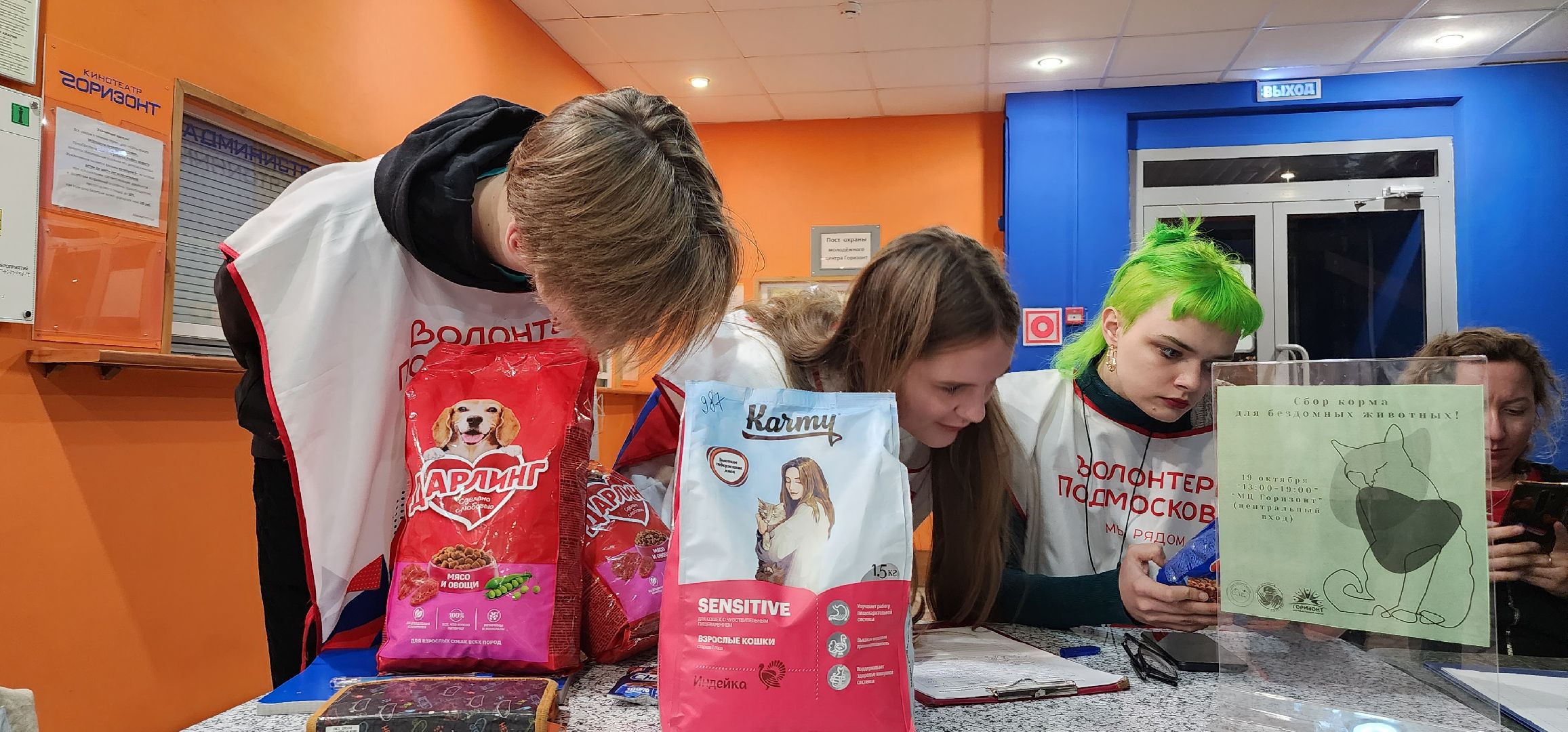 Коломна, волонтерство, бездомные животные, благотворительая акция,