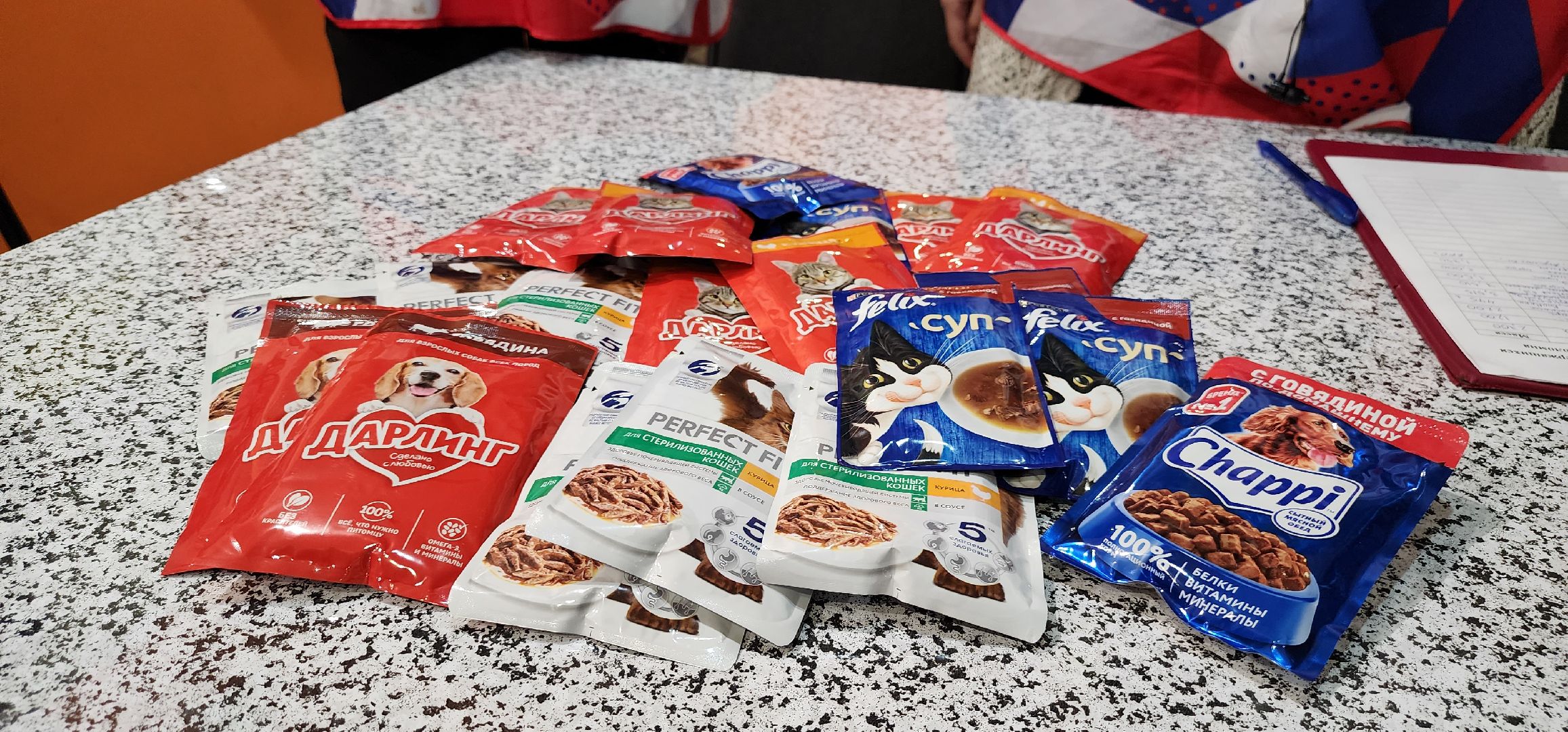 Коломна, волонтерство, бездомные животные, благотворительая акция,