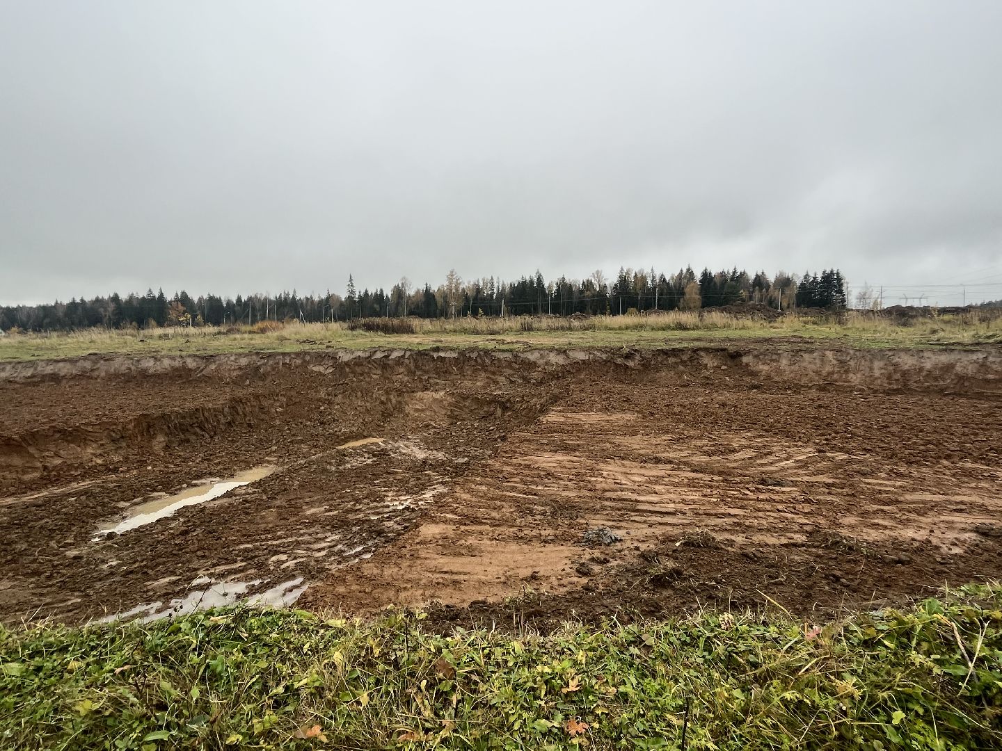 наро-фоминск, наро-фоминский городской округ, сельское хозяйство, агроподворье, фермерство, Подмосковье,