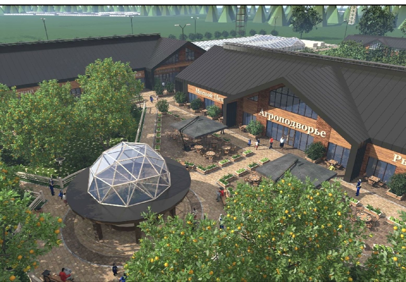 наро-фоминск, наро-фоминский городской округ, сельское хозяйство, агроподворье, фермерство, Подмосковье,