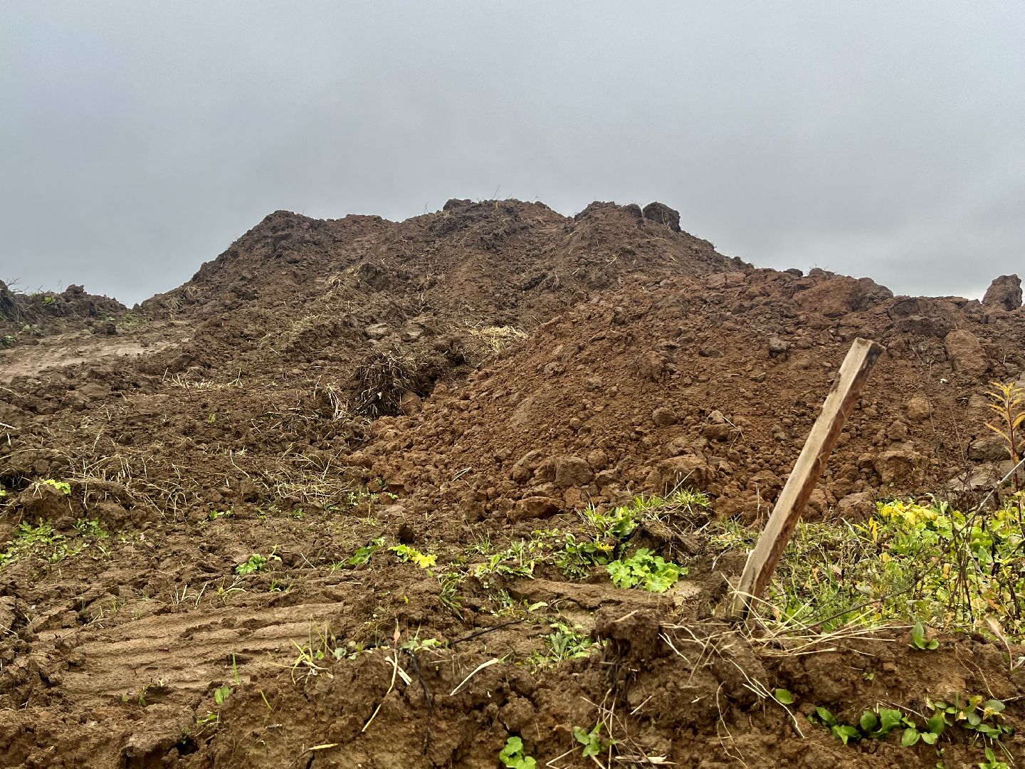 наро-фоминск, наро-фоминский городской округ, сельское хозяйство, агроподворье, фермерство, Подмосковье,