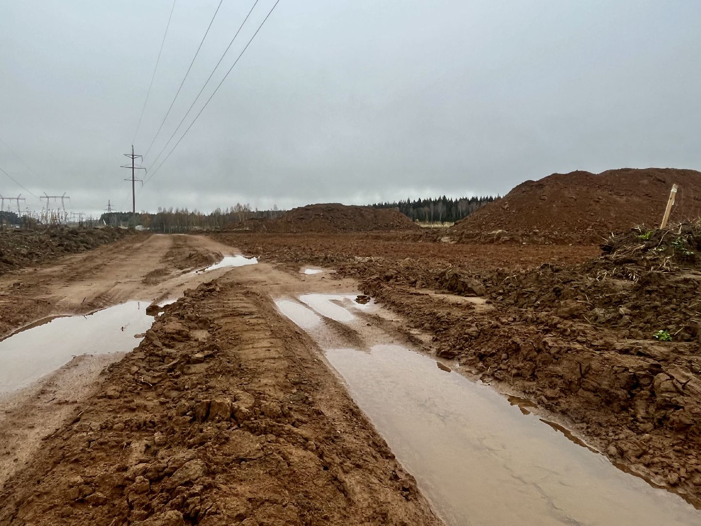 наро-фоминск, наро-фоминский городской округ, сельское хозяйство, агроподворье, фермерство, Подмосковье,