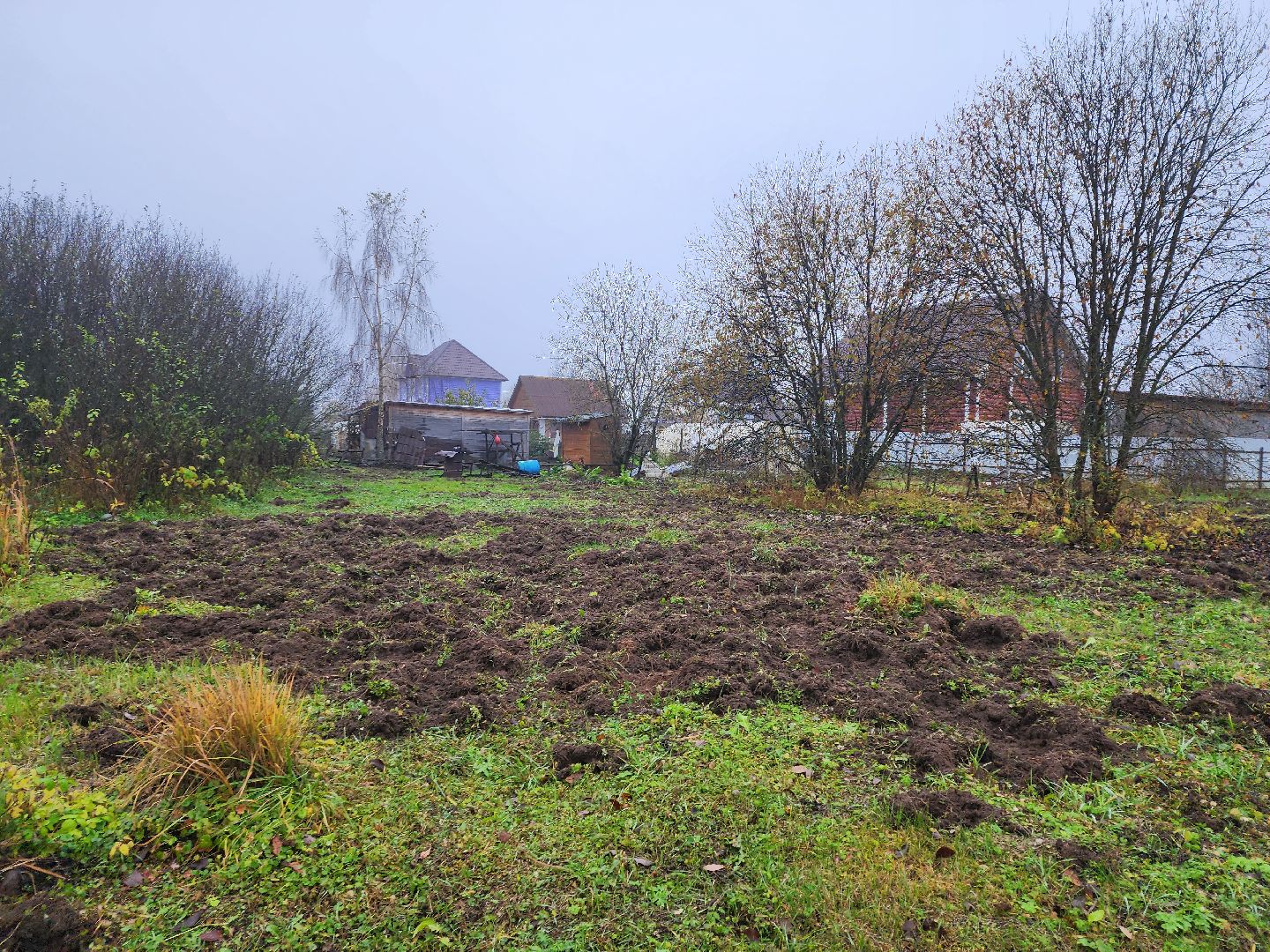 серпухов, подмосковье, свиньи сбежали, Шатово,