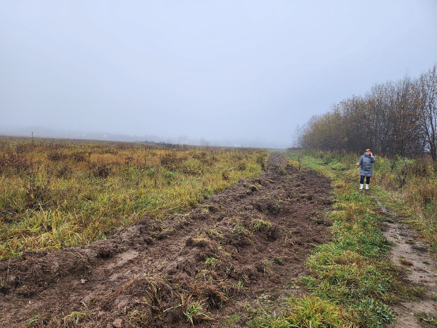 серпухов, подмосковье, свиньи сбежали, Шатово,