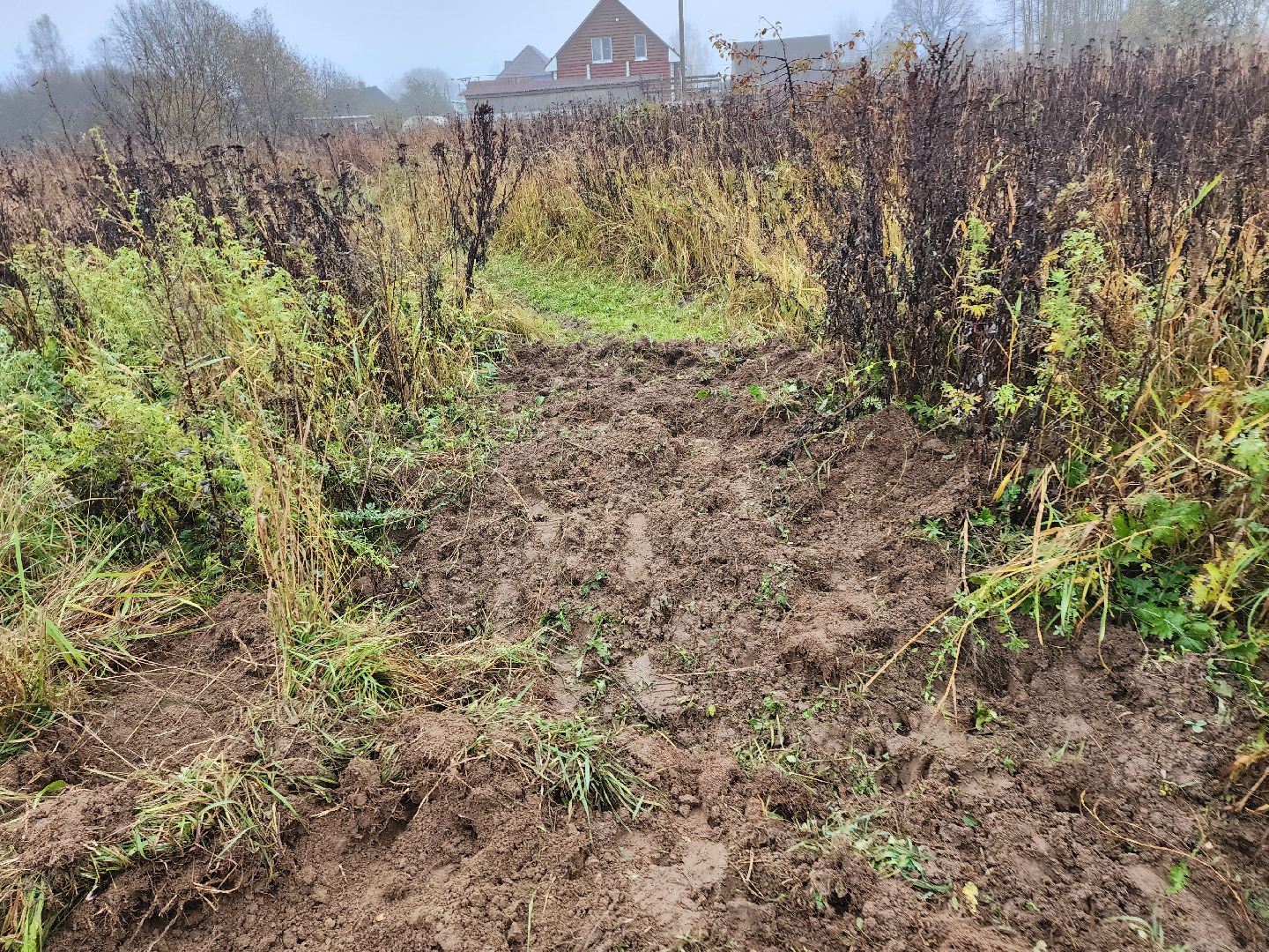 серпухов, подмосковье, свиньи сбежали, Шатово,