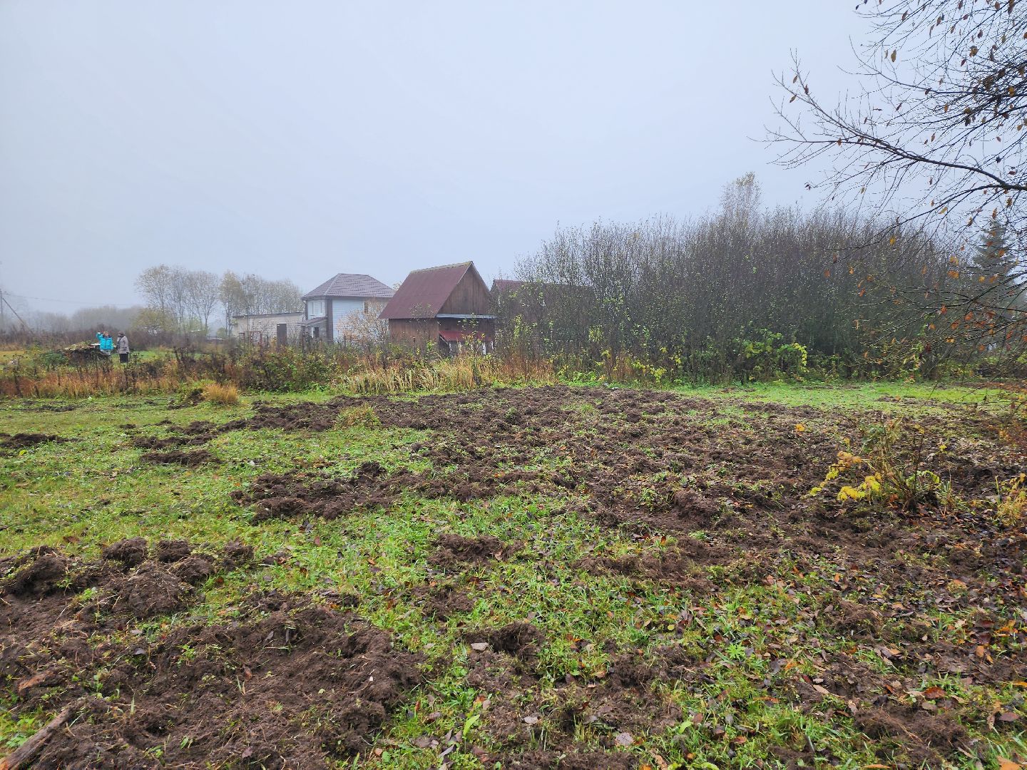 серпухов, подмосковье, свиньи сбежали, Шатово,