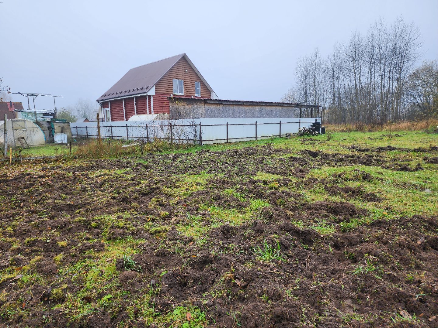 серпухов, подмосковье, свиньи сбежали, Шатово,