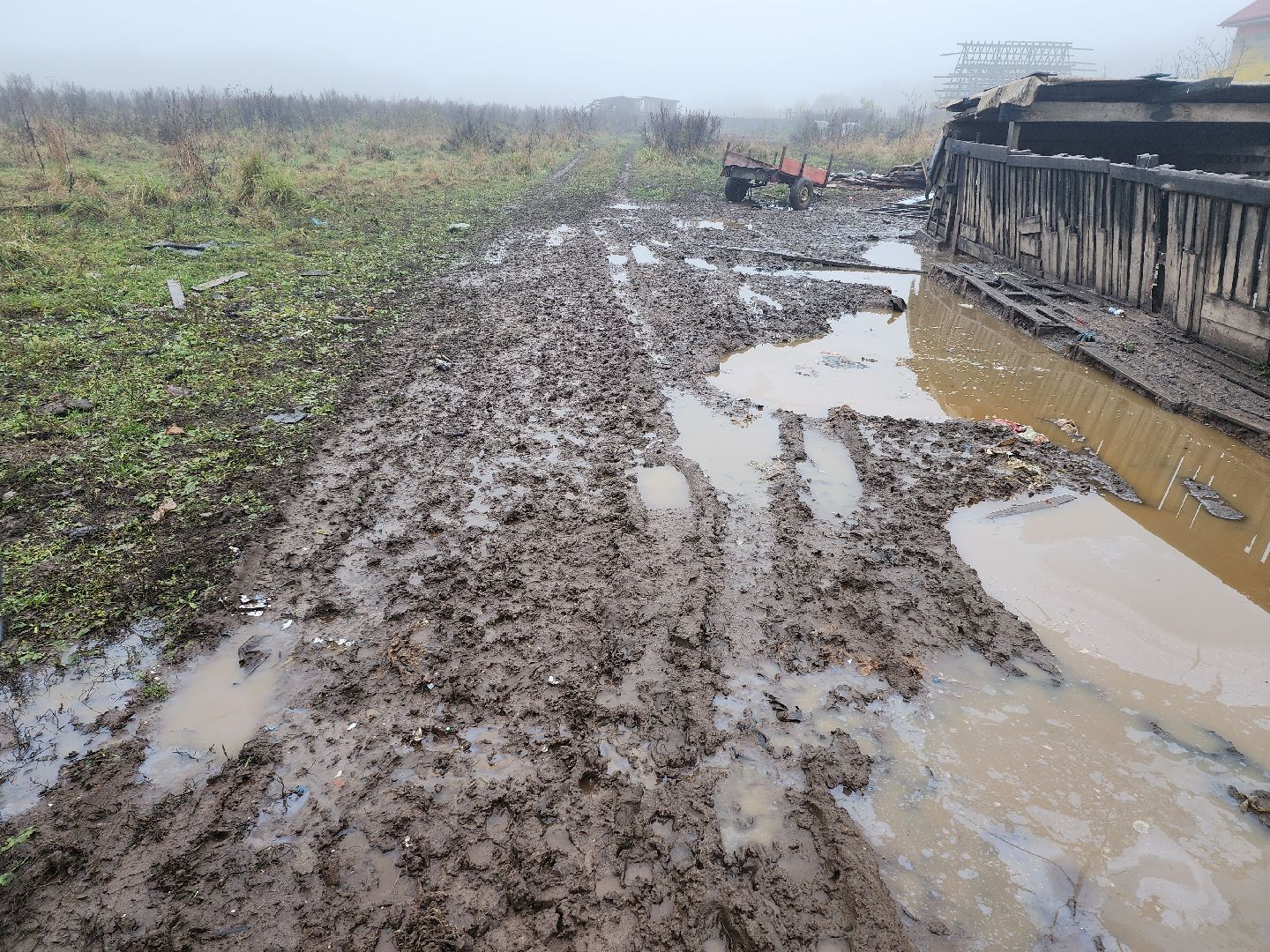 серпухов, подмосковье, свиньи сбежали, Шатово,
