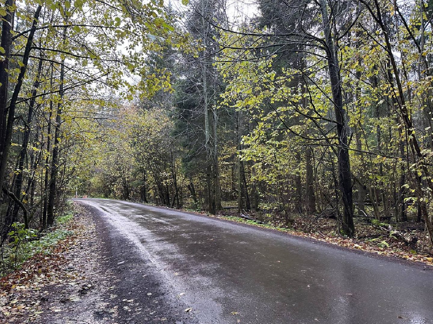ремонт дорог, наро-фоминский городской округ, губернаторская программа,