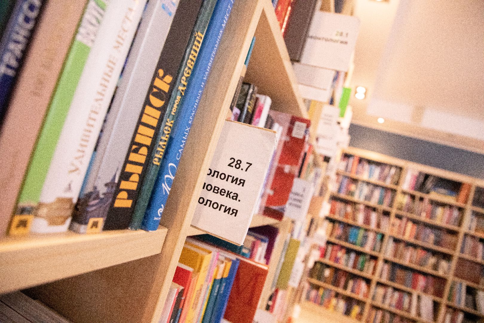 лыткарино, библиотека, книги,