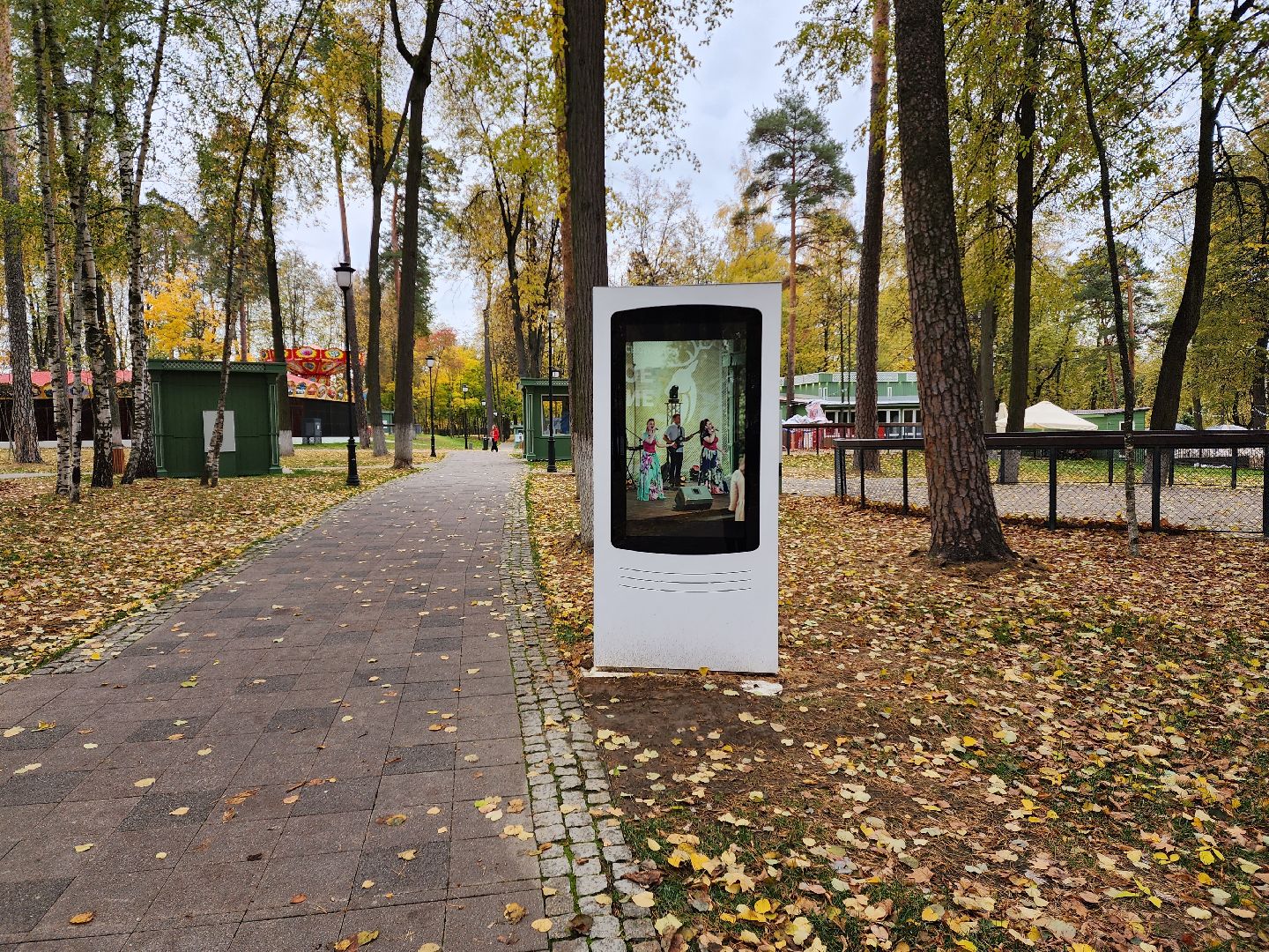 раменское, благоустройство, раменский парк, зимняя концепция,