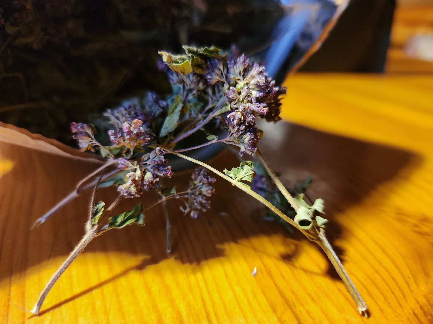 Урожай, заготовки, хранение урожая, Старая Купавна, Богородский городской округ,