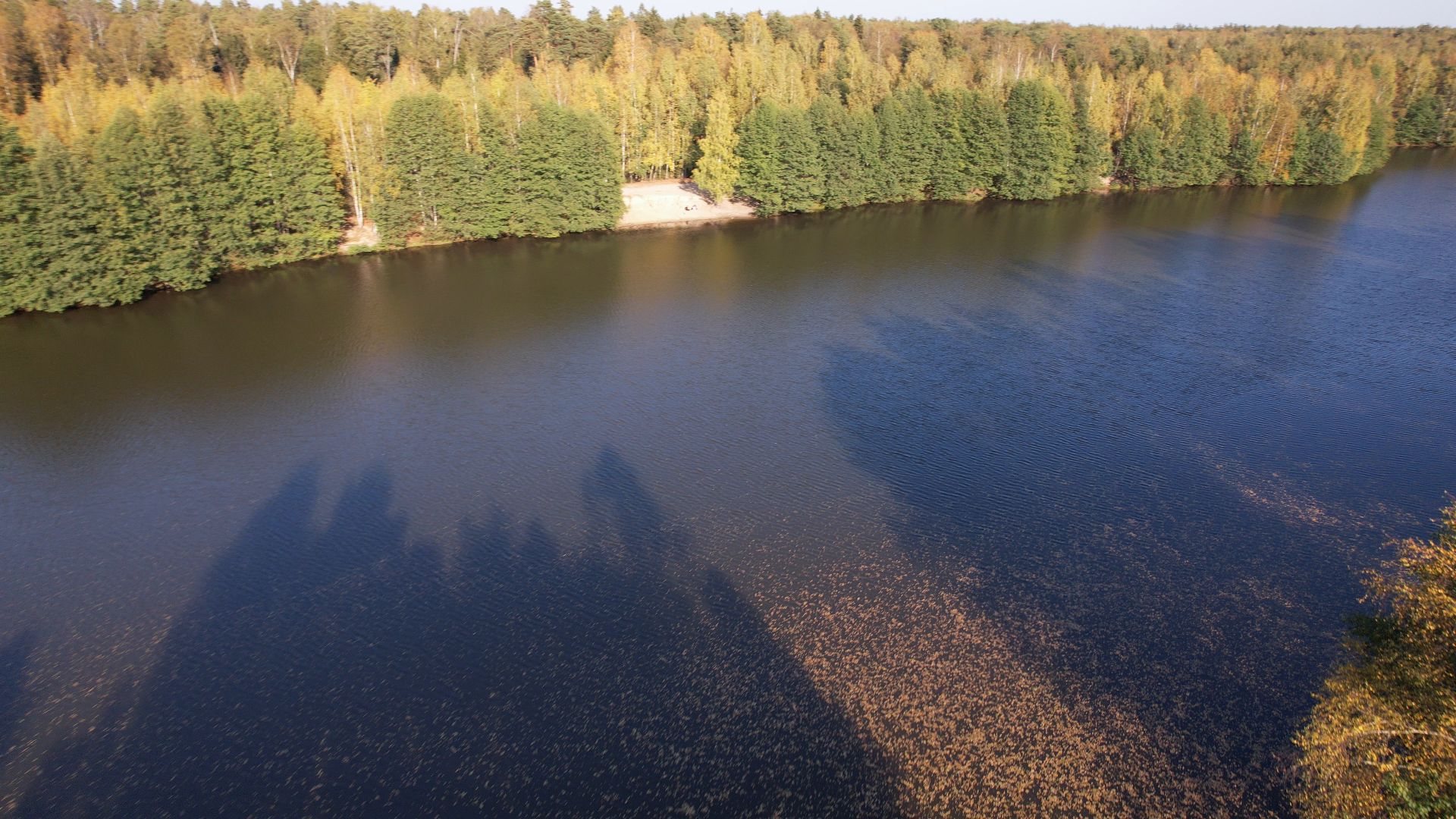 песчанка, гора, черноголовка,видео с коптера,