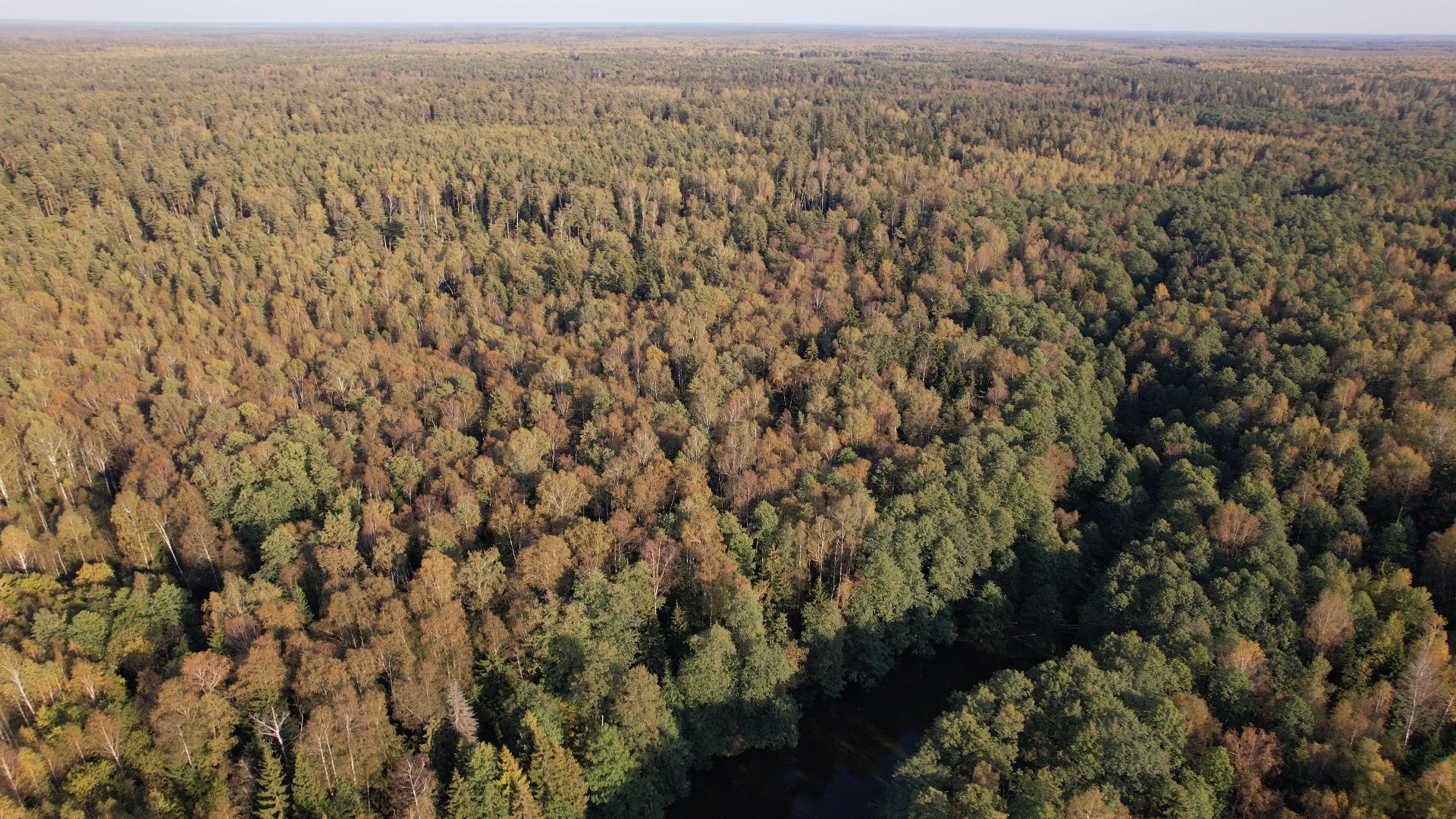 песчанка, гора, черноголовка,видео с коптера,