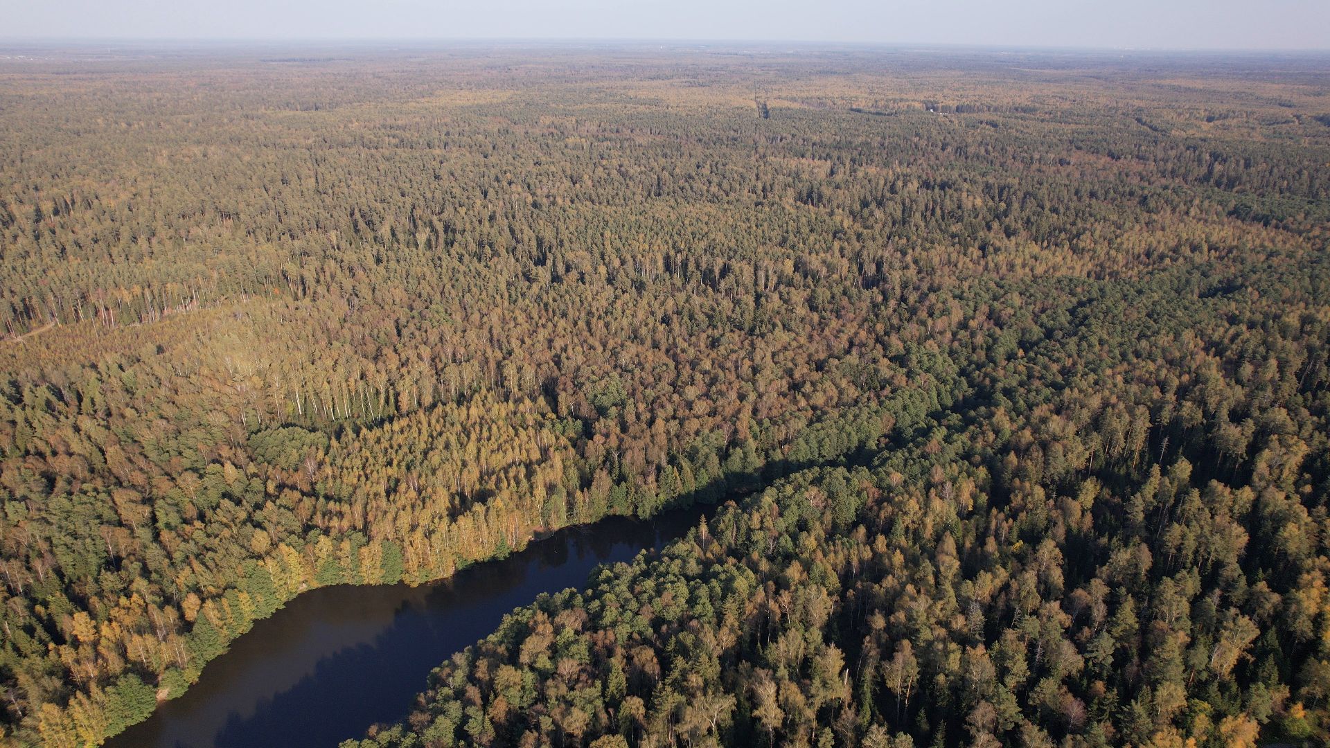 песчанка, гора, черноголовка,видео с коптера,