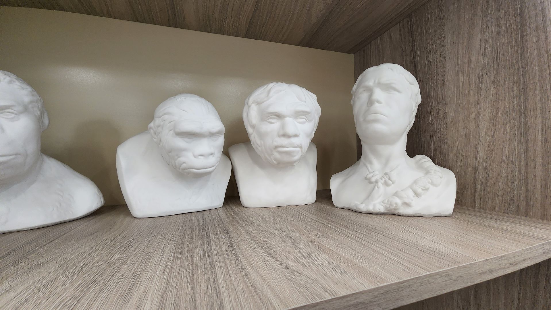 Шатура, образование, строительство, новая школа, шатурский лицей,