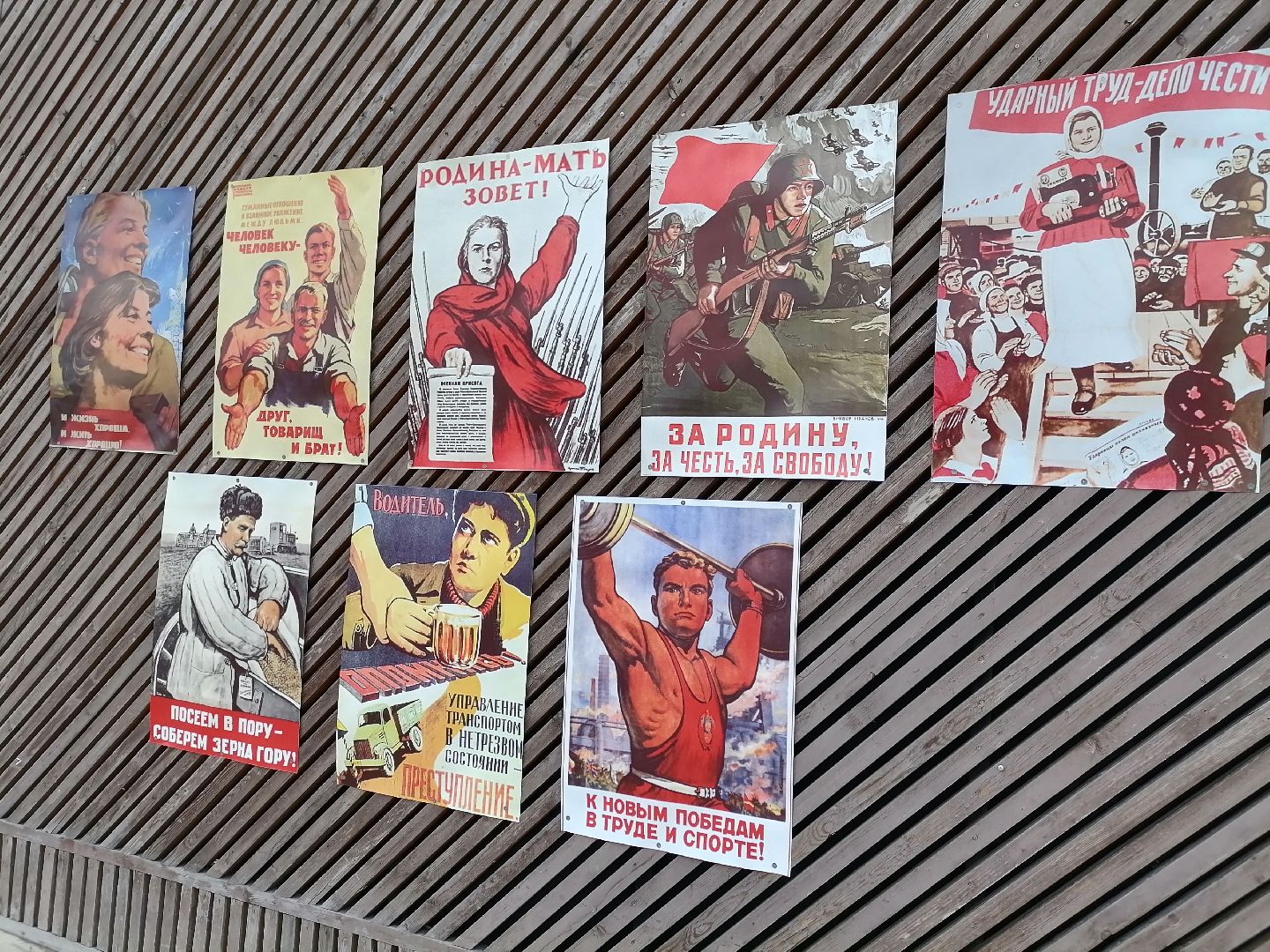 парки подмосковья, орехово-зуево, мероприятия,